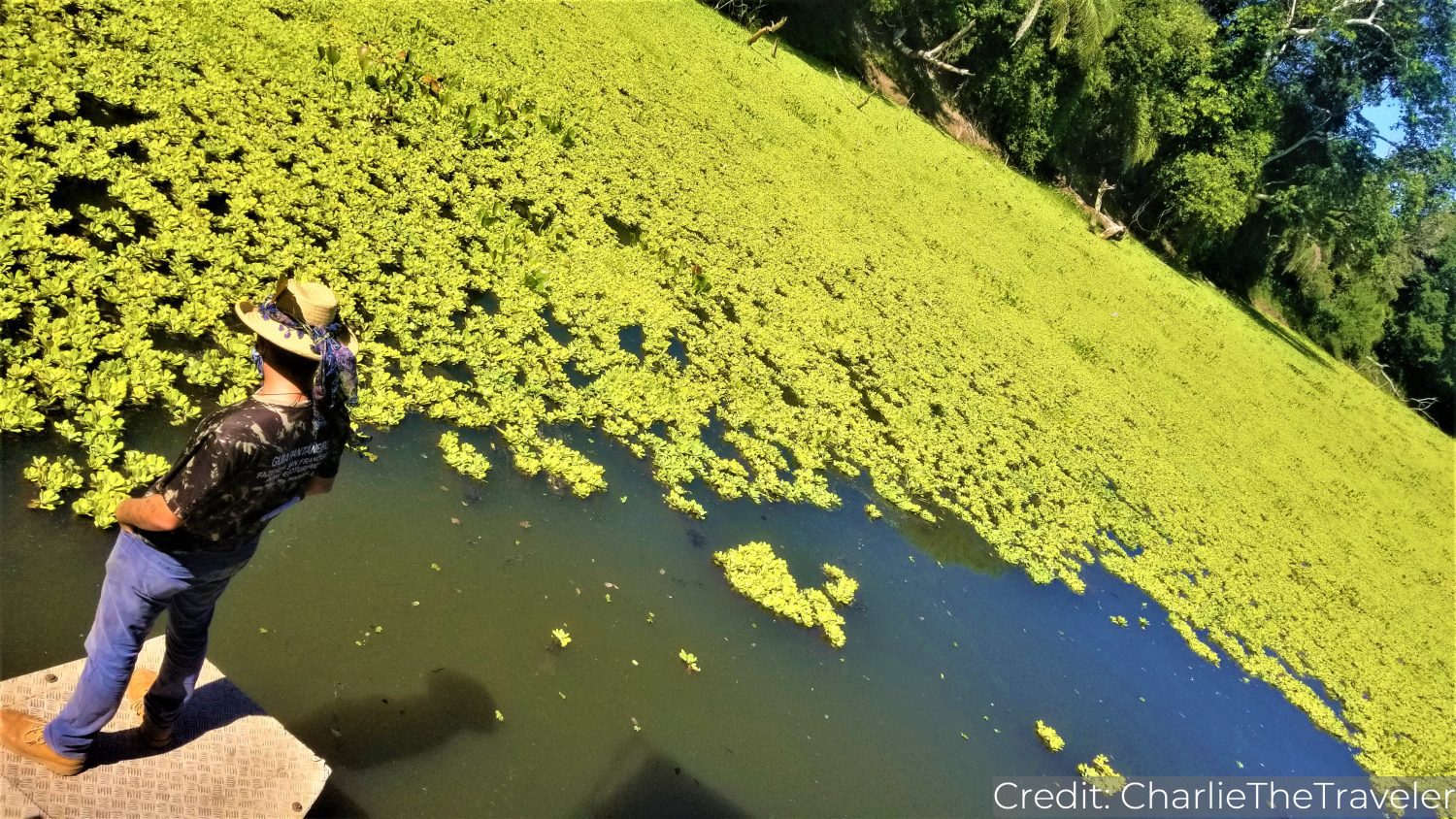 Brazil’s South 11-Day Tour Package with Luxury Hotels: See & Do It ALL - tour image