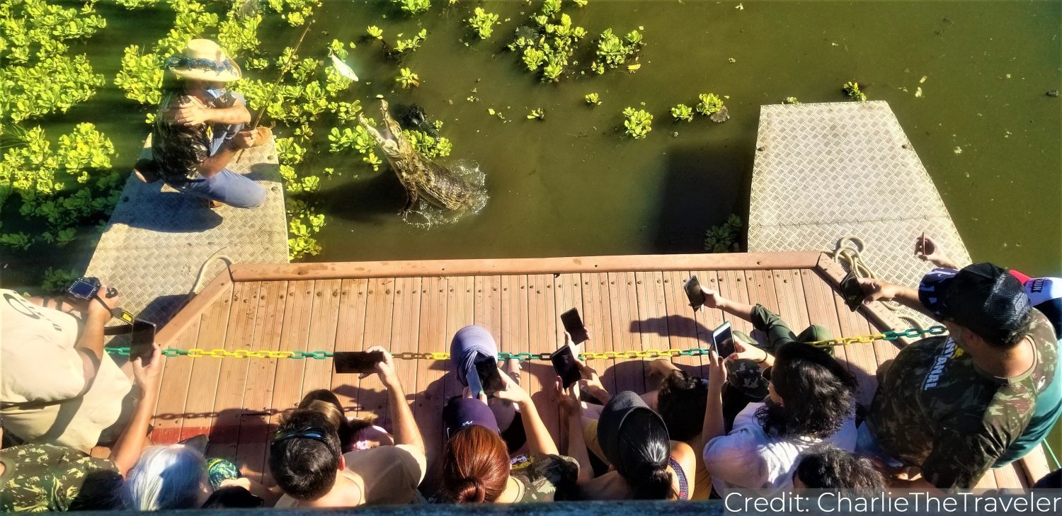 Brazil’s South 11-Day Tour Package with Luxury Hotels: See & Do It ALL - tour image