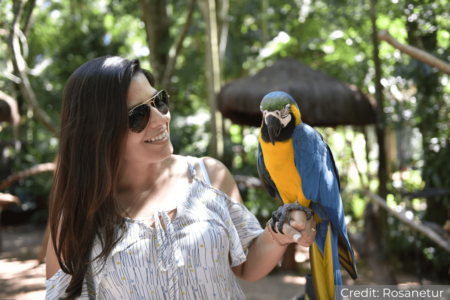 Argentina North 11-Day Tour Package with Luxury Hotels: See & Do It ALL - tour image