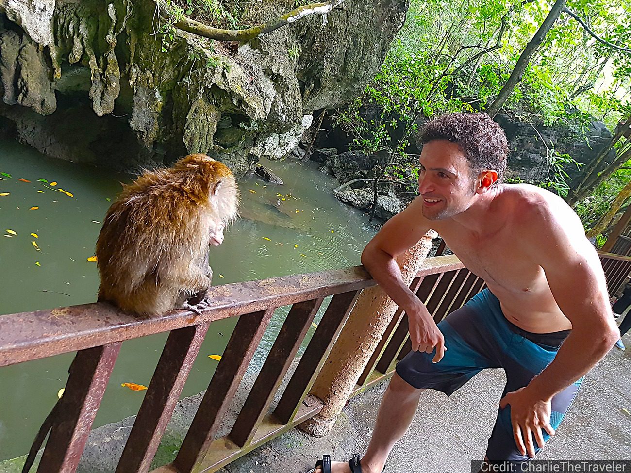 Malaysia 9-Day Tour Package with Luxury Hotels: See & Experience it ALL - tour image