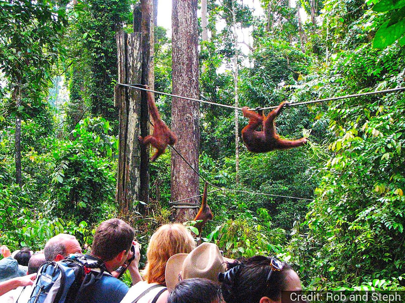 Malaysia 9-Day Tour Package with Luxury Hotels: See & Experience it ALL - tour image