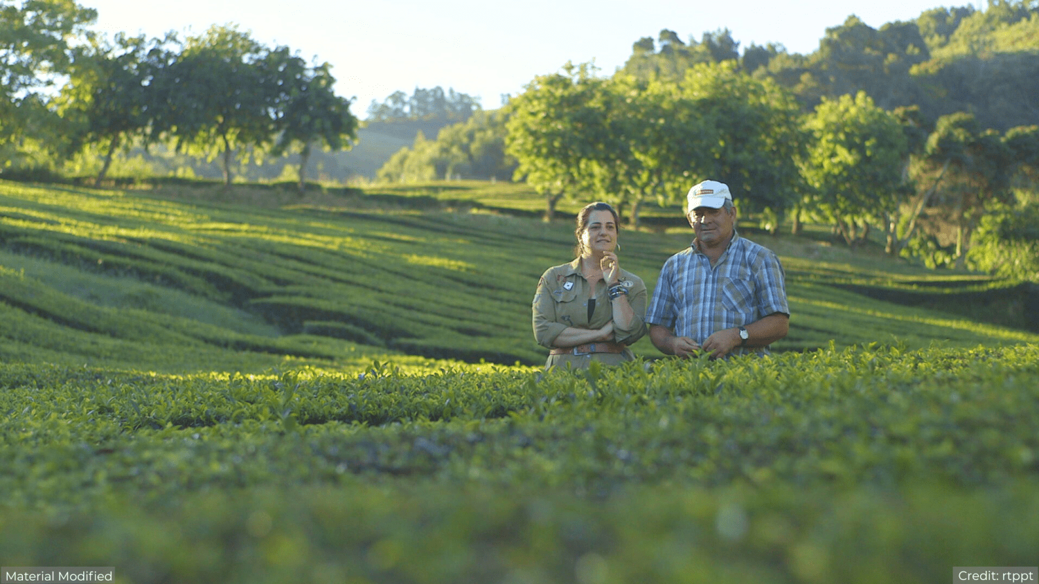 Portugal’s Best Islands Tour Package with Luxury Hotels: See & Experience it ALL - tour image