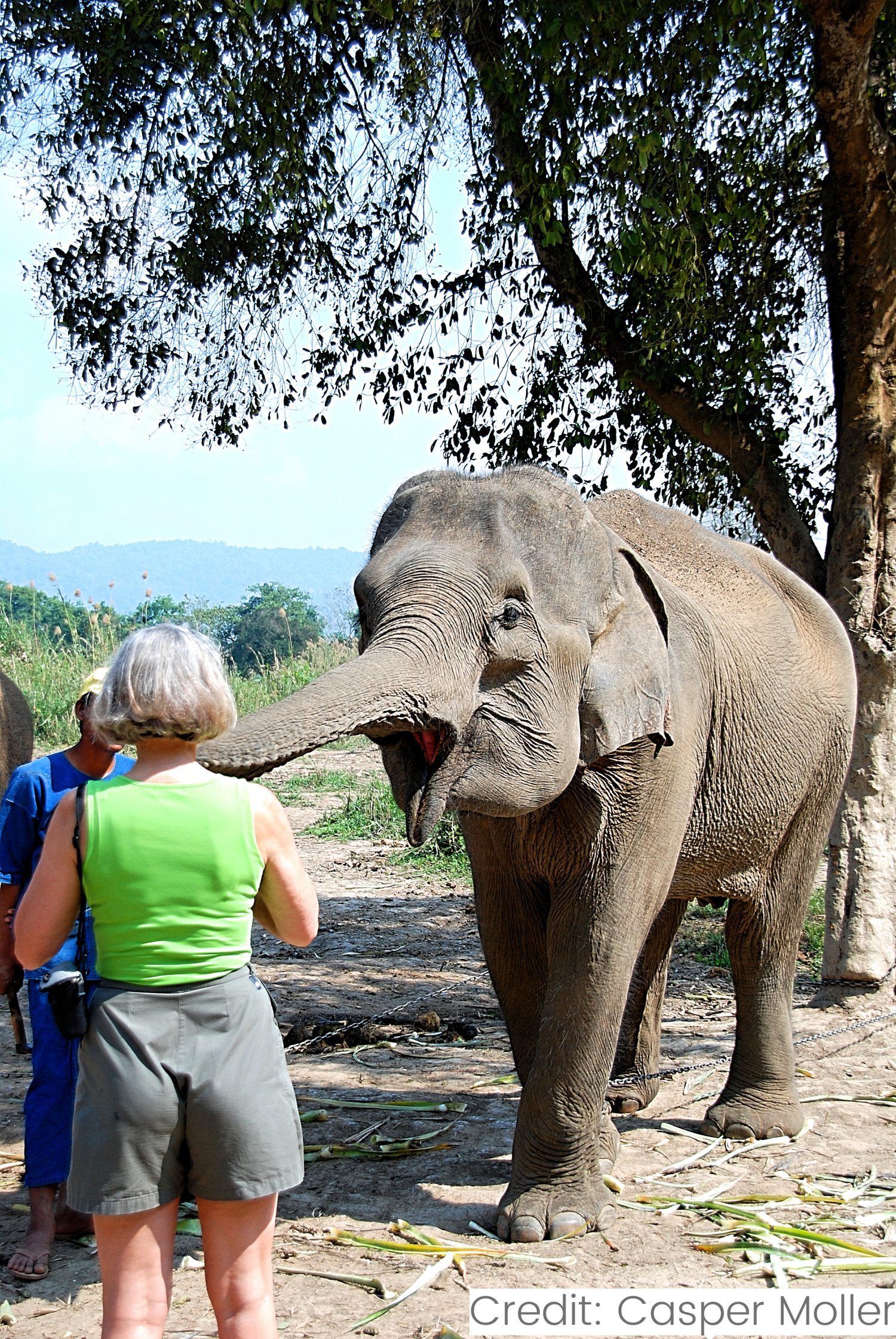 Nepal 8-Day Tour Package with Luxury Hotels: See & Do It ALL - tour image