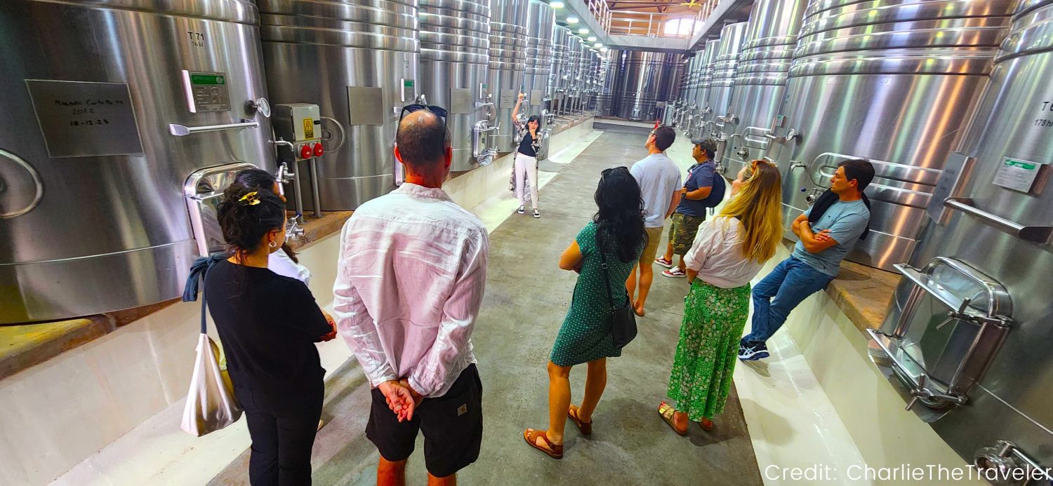 Argentina’s North 11-Day Tour Package with Luxury Hotels: See & Do It ALL - tour image