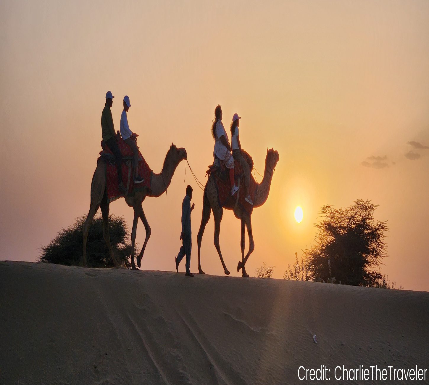 India 17-Day Tour Package with Luxury Hotels: See & Do Almost It ALL - tour image