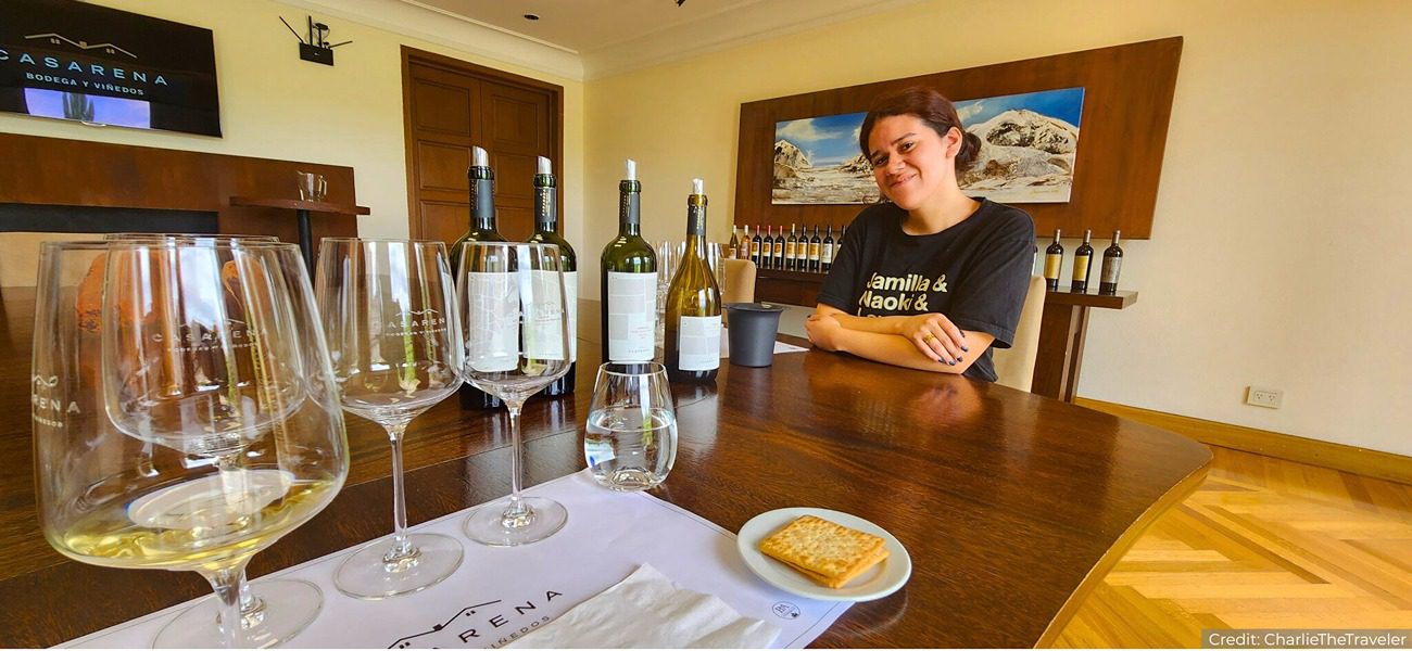 Argentina North 11-Day Tour Package with Luxury Hotels: See & Do It ALL - tour image