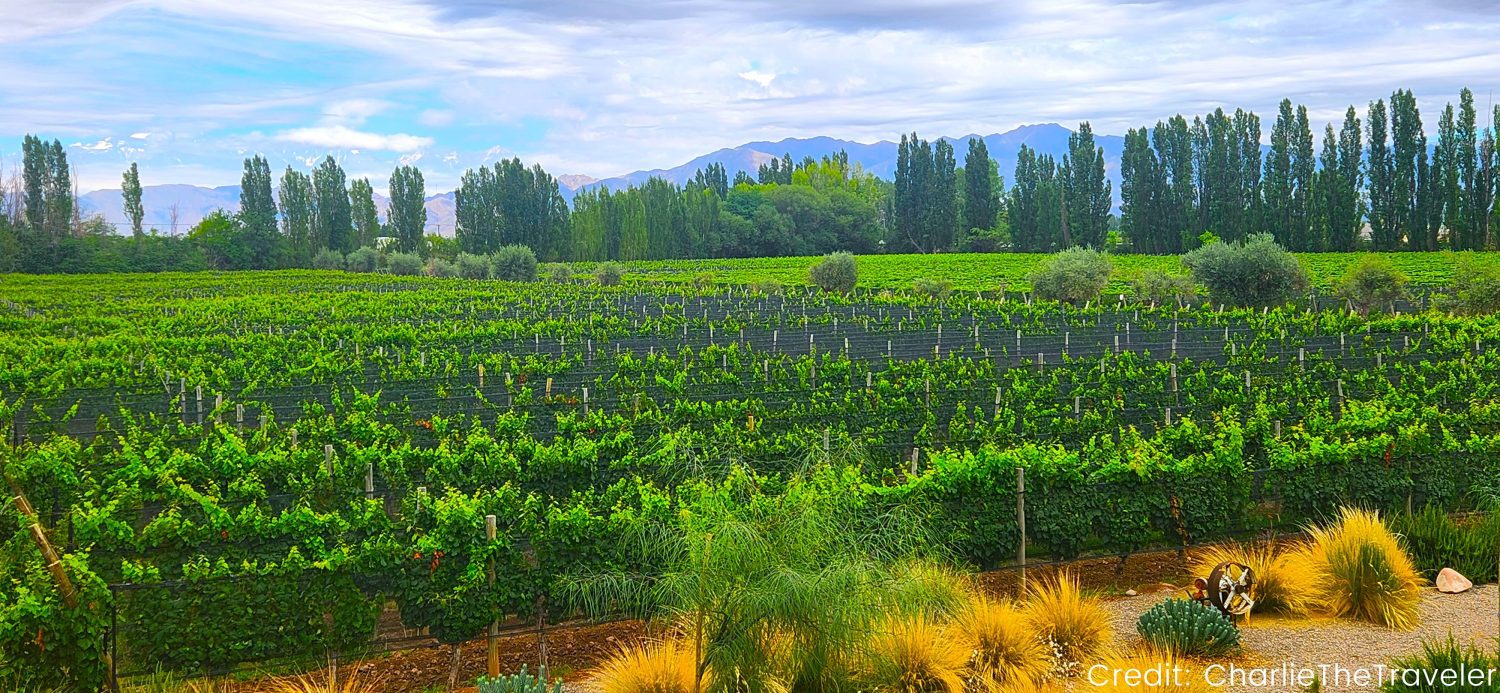 Argentina’s North 11-Day Tour Package with Luxury Hotels: See & Do It ALL - tour image