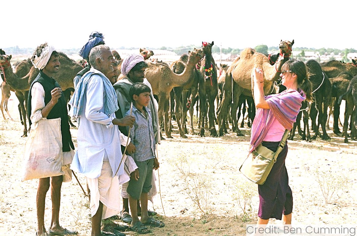 India 17-Day Tour Package with Luxury Hotels: See & Do Almost It ALL - tour image