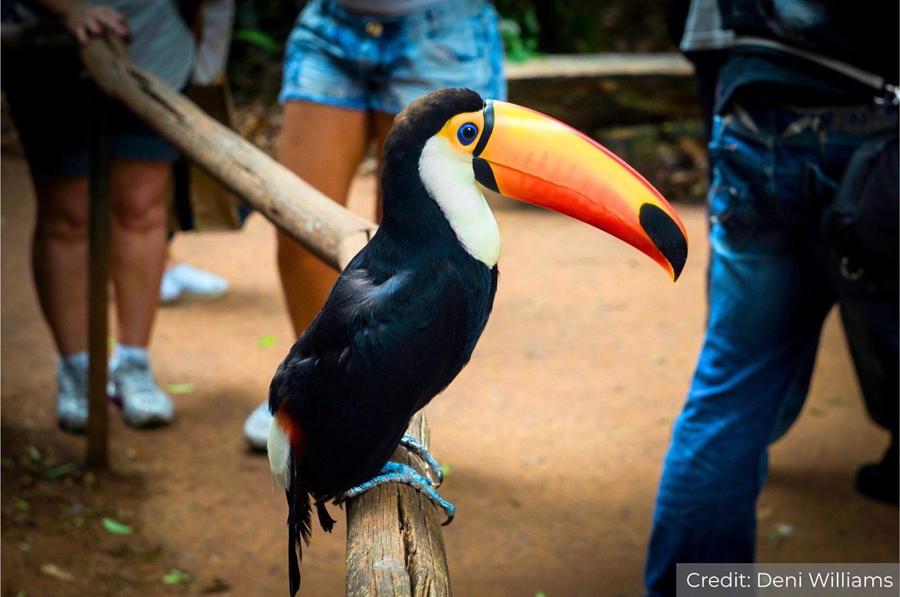 Argentina North 11-Day Tour Package with Luxury Hotels: See & Do It ALL - tour image