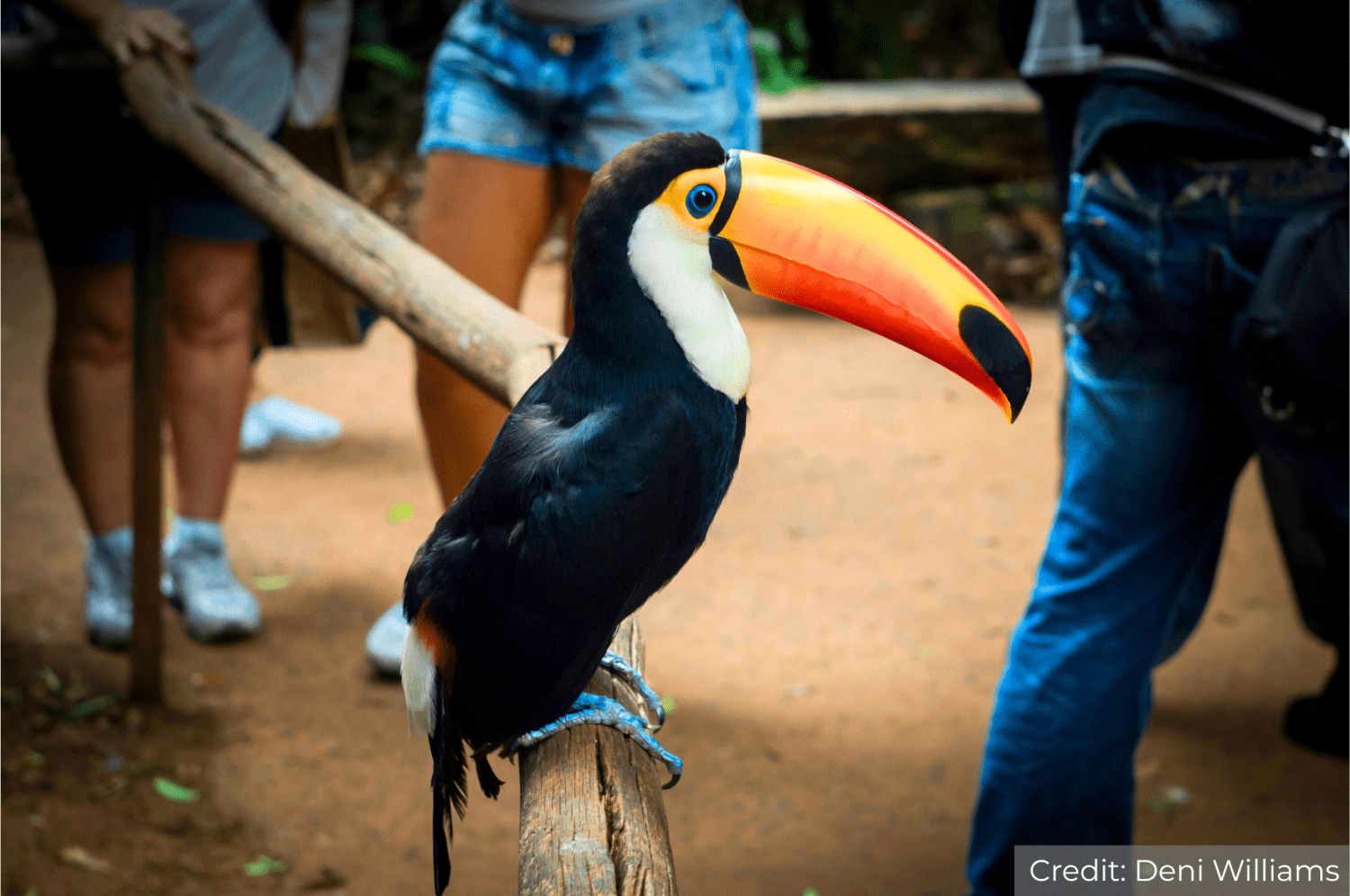 Argentina North 11-Day Tour Package with Luxury Hotels: See & Do It ALL - tour image