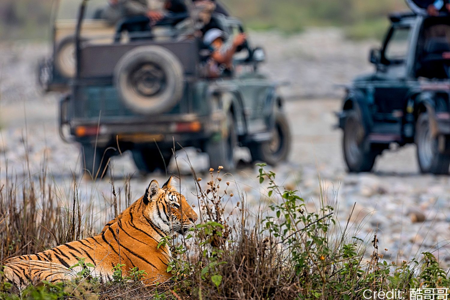 Nepal 8-Day Tour Package with Luxury Hotels: See & Do It ALL - tour image