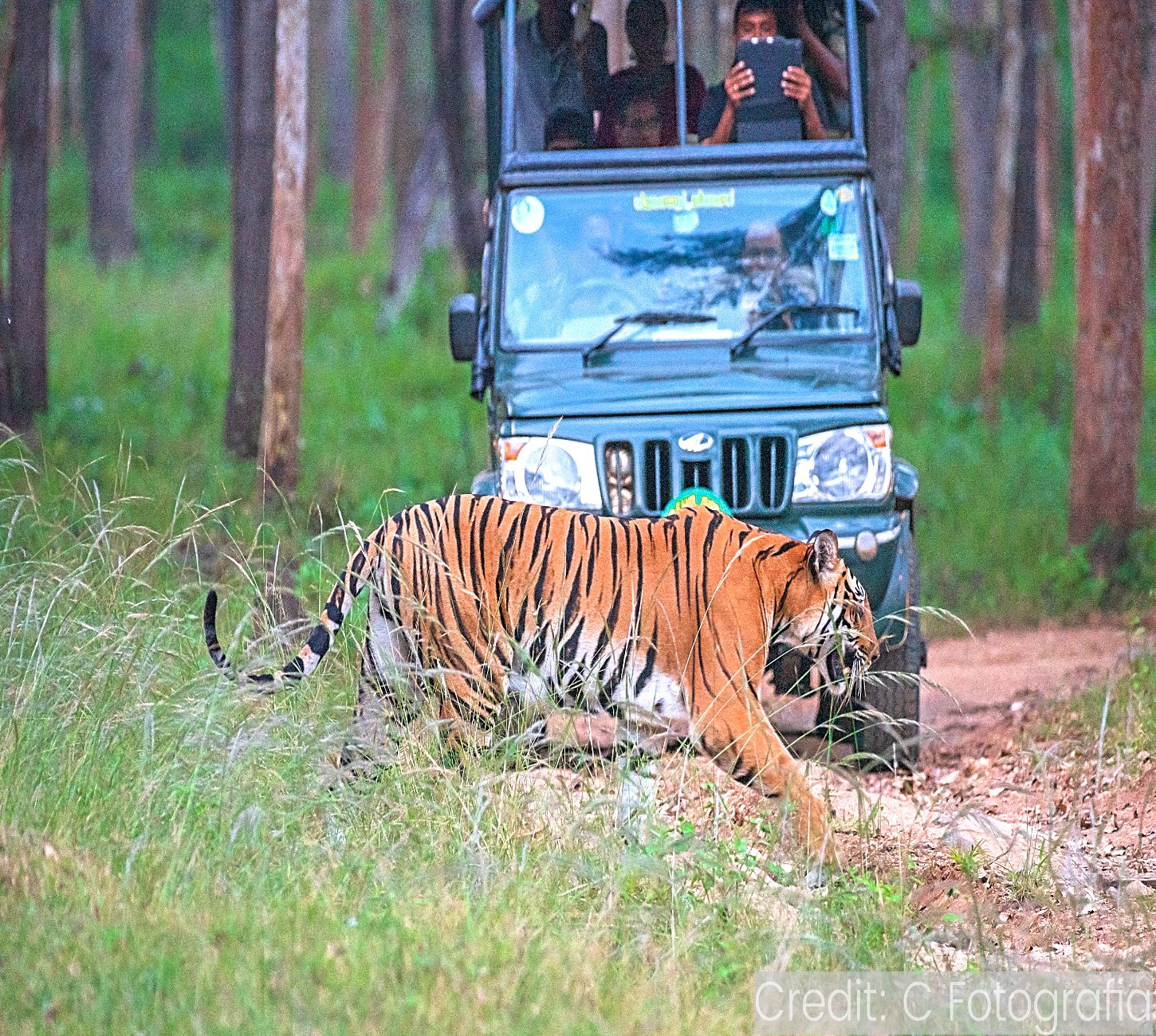 India 17-Day Tour Package with Luxury Hotels: See & Do Almost It ALL - tour image