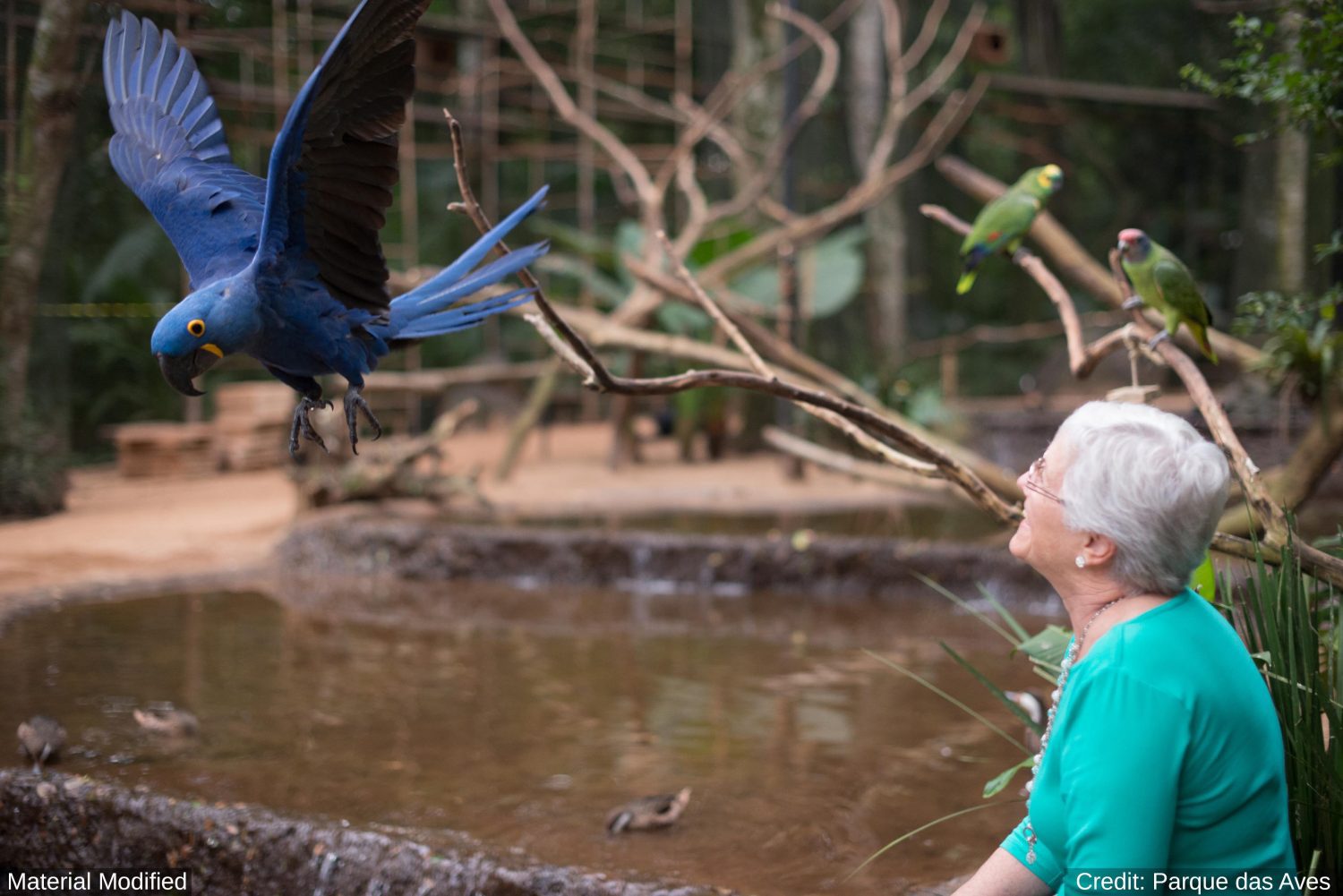 Brazil’s South 11-Day Tour Package with Luxury Hotels: See & Do It ALL - tour image