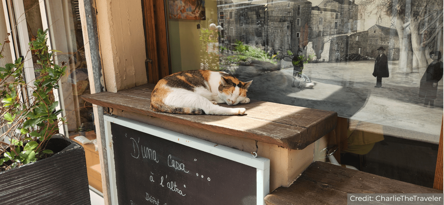 France (Corsica Island) & Italy (Sardinia Island) 8-Day Tour Package with Luxury Hotels: See & Experience it ALL - tour image