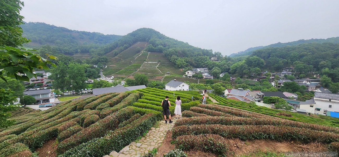 China’s Southeast 16-Day Tour Package with Luxury Hotels: See & Do It ALL - tour image