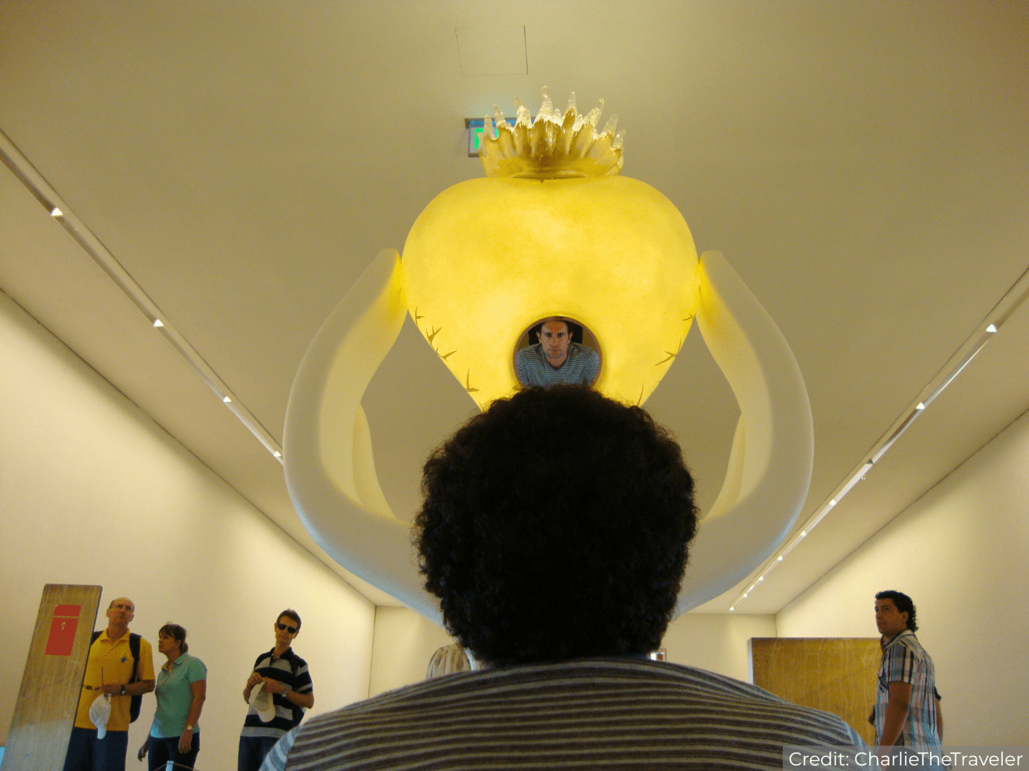 Portugal’s 12-Day Grand Tour Package with Luxury Hotels: See & Do It ALL - tour image