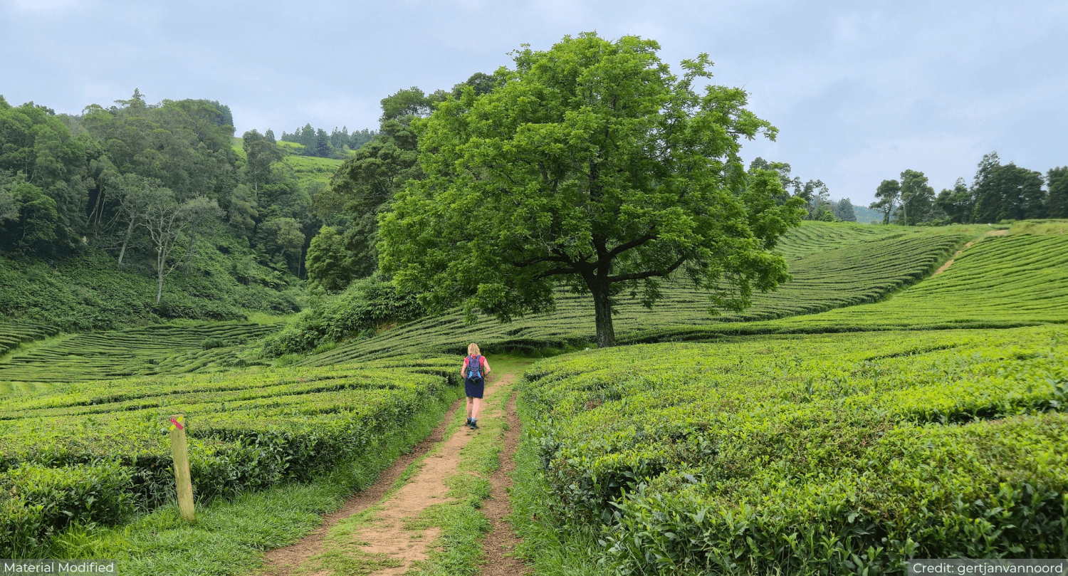 Portugal’s Best Islands Tour Package with Luxury Hotels: See & Experience it ALL - tour image