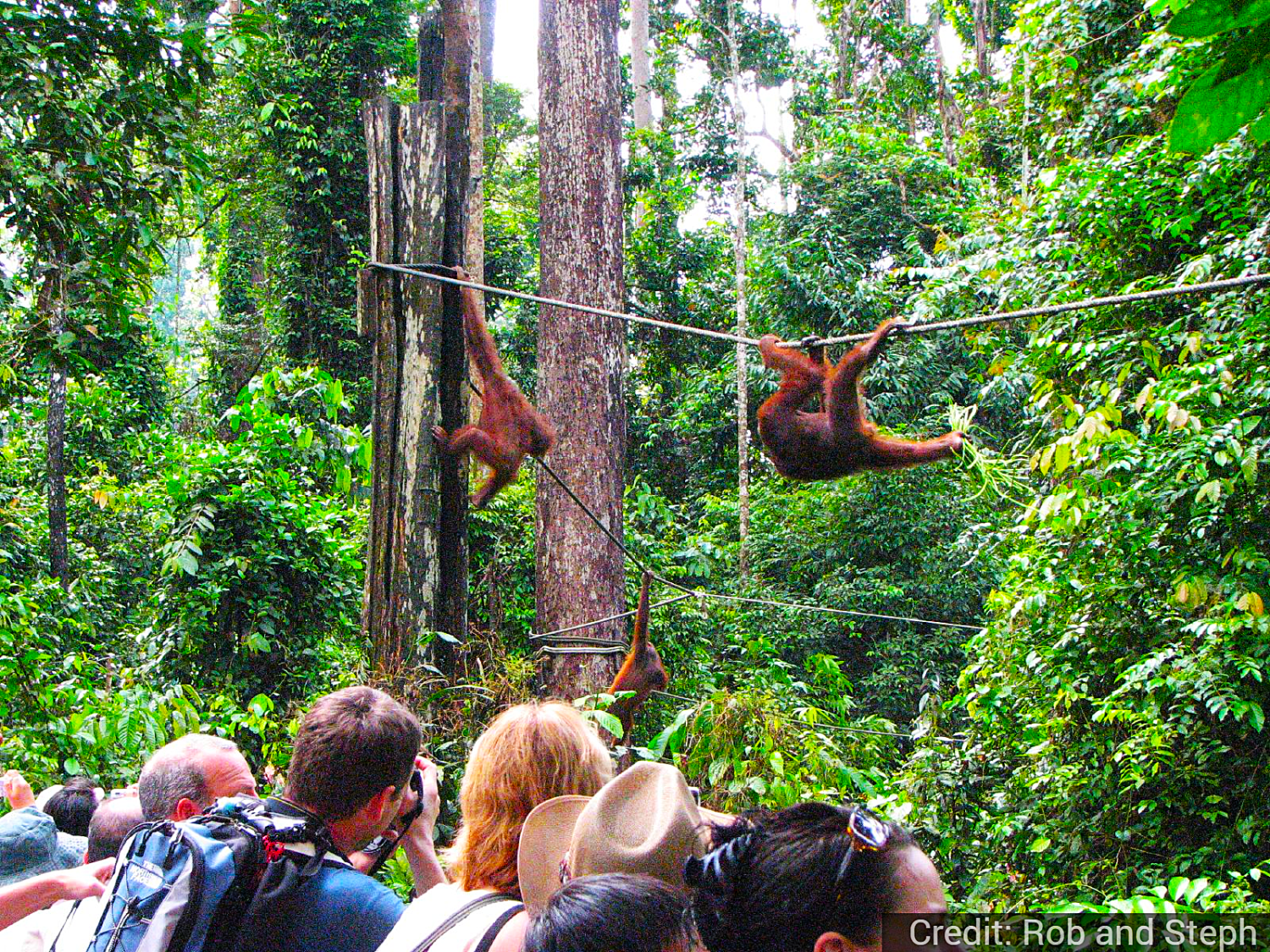 Malaysia 9-Day Tour Package with Luxury Hotels: See & Experience it ALL - tour image