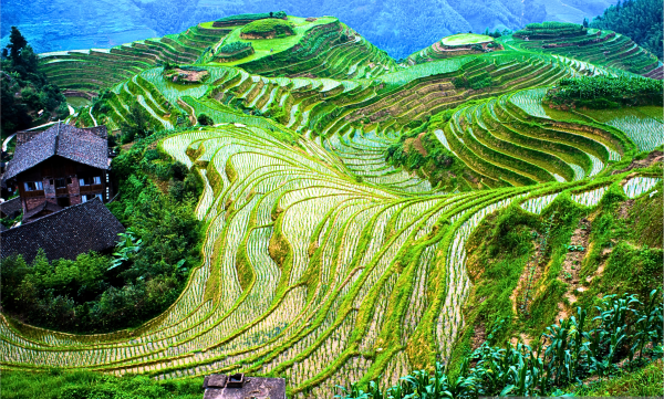 China Southeast 16-Day Tour Package with Luxury Hotels: See & Do It ALL