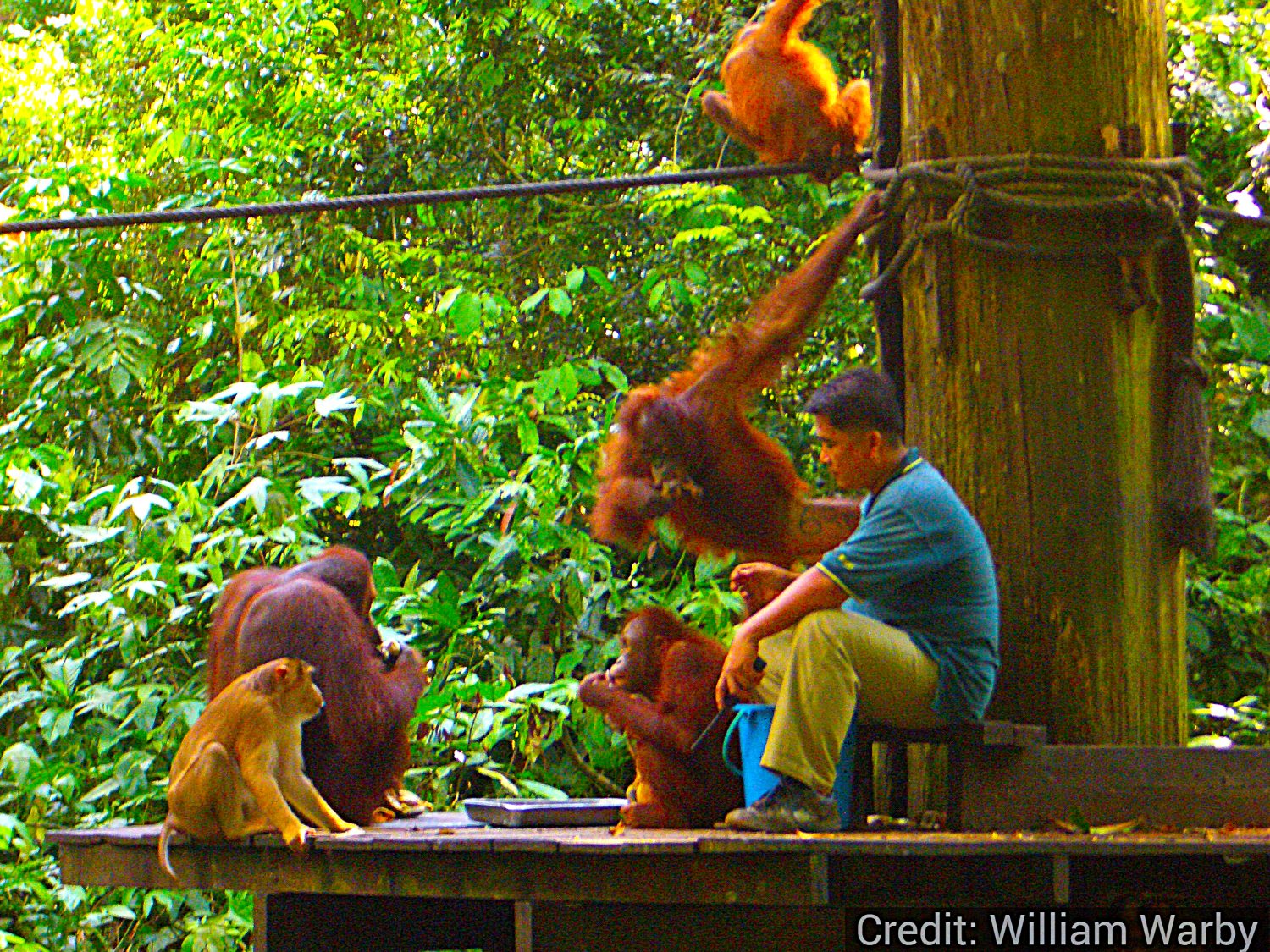 Malaysia 9-Day Tour Package with Luxury Hotels: See & Experience it ALL - tour image