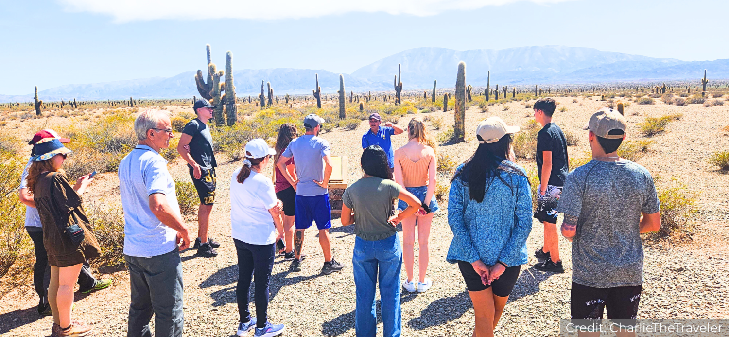 Argentina North 11-Day Tour Package with Luxury Hotels: See & Do It ALL - tour image