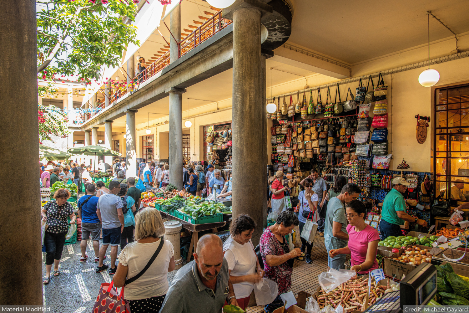 Portugal’s Best Islands Tour Package with Luxury Hotels: See & Experience it ALL - tour image