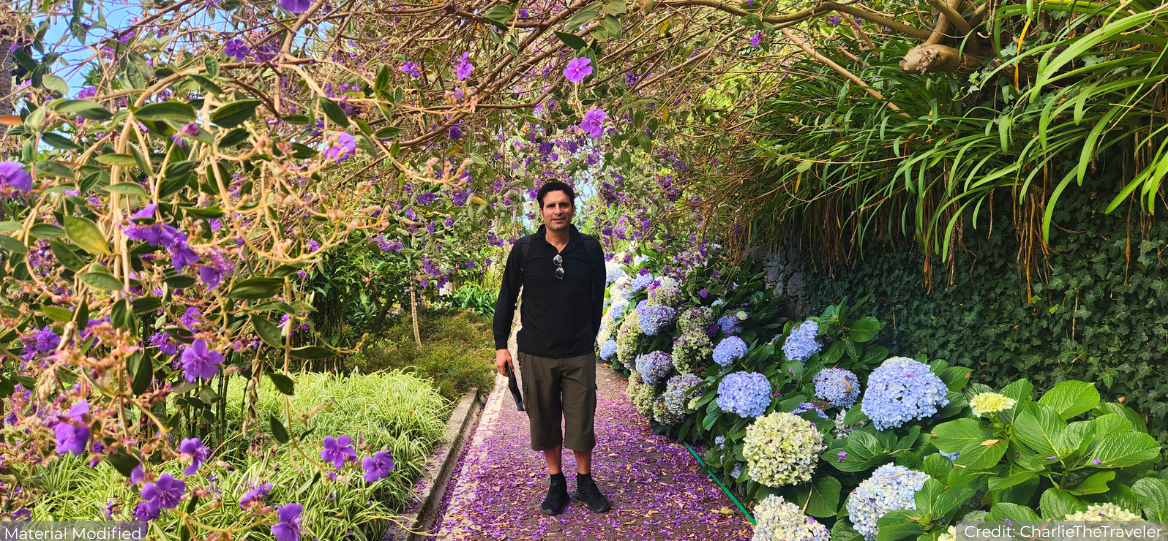 Portugal’s Best Islands Tour Package with Luxury Hotels: See & Experience it ALL - tour image