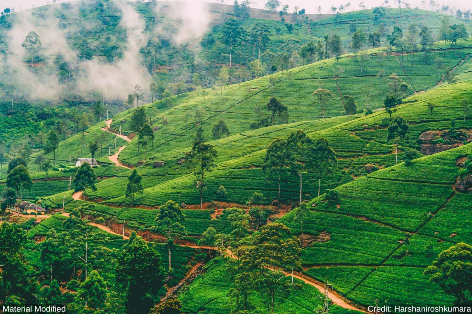 Sri Lanka: See & Experience it ALL in 10 Days, 1st Class Custom Tours