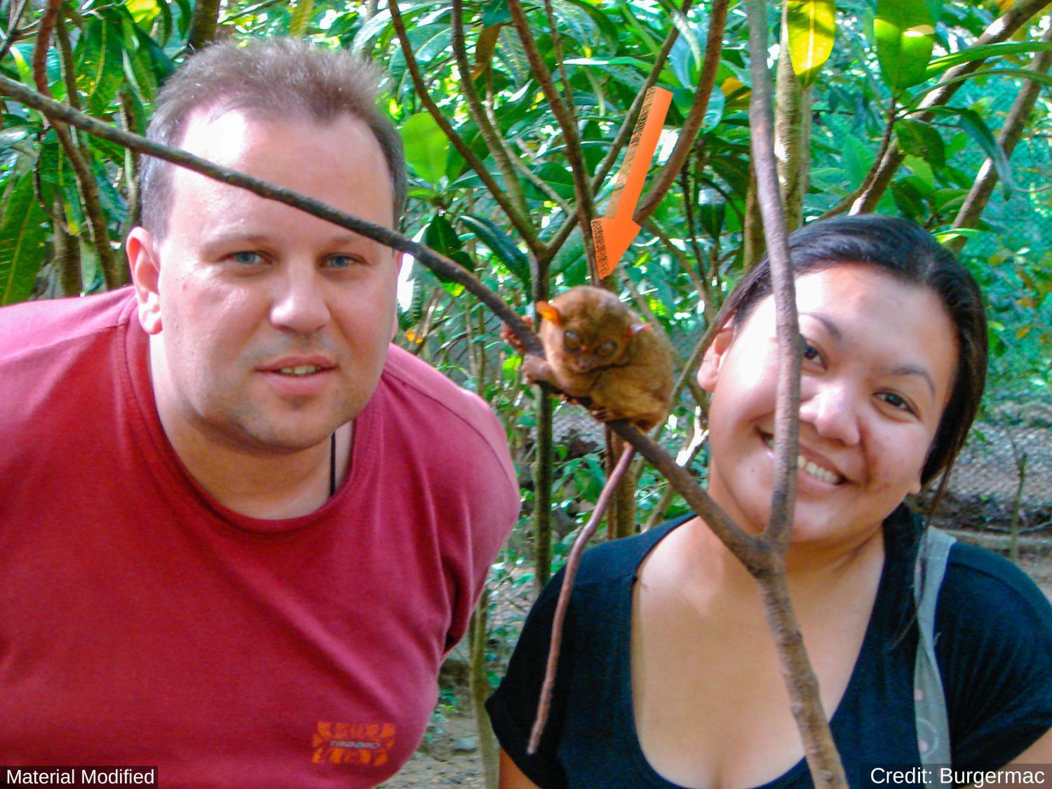 Philippines Grand Tour: See & Experience it ALL in 14 Days, 1st Class Custom Tours