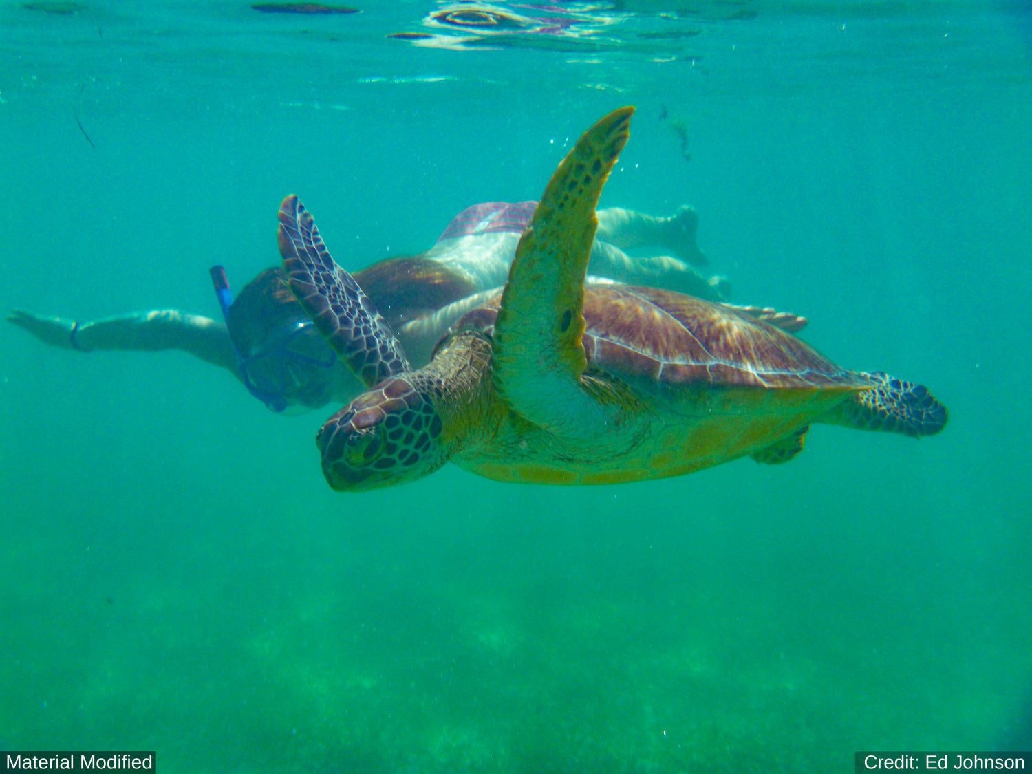 Philippines Grand Tour: See & Experience it ALL in 14 Days, 1st Class Custom Tours