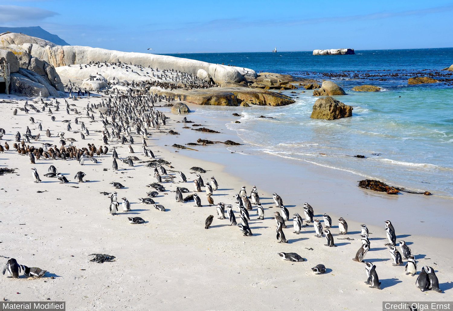 South Africa: See & Experience it ALL in 12 Days, 1st Class Custom Tours