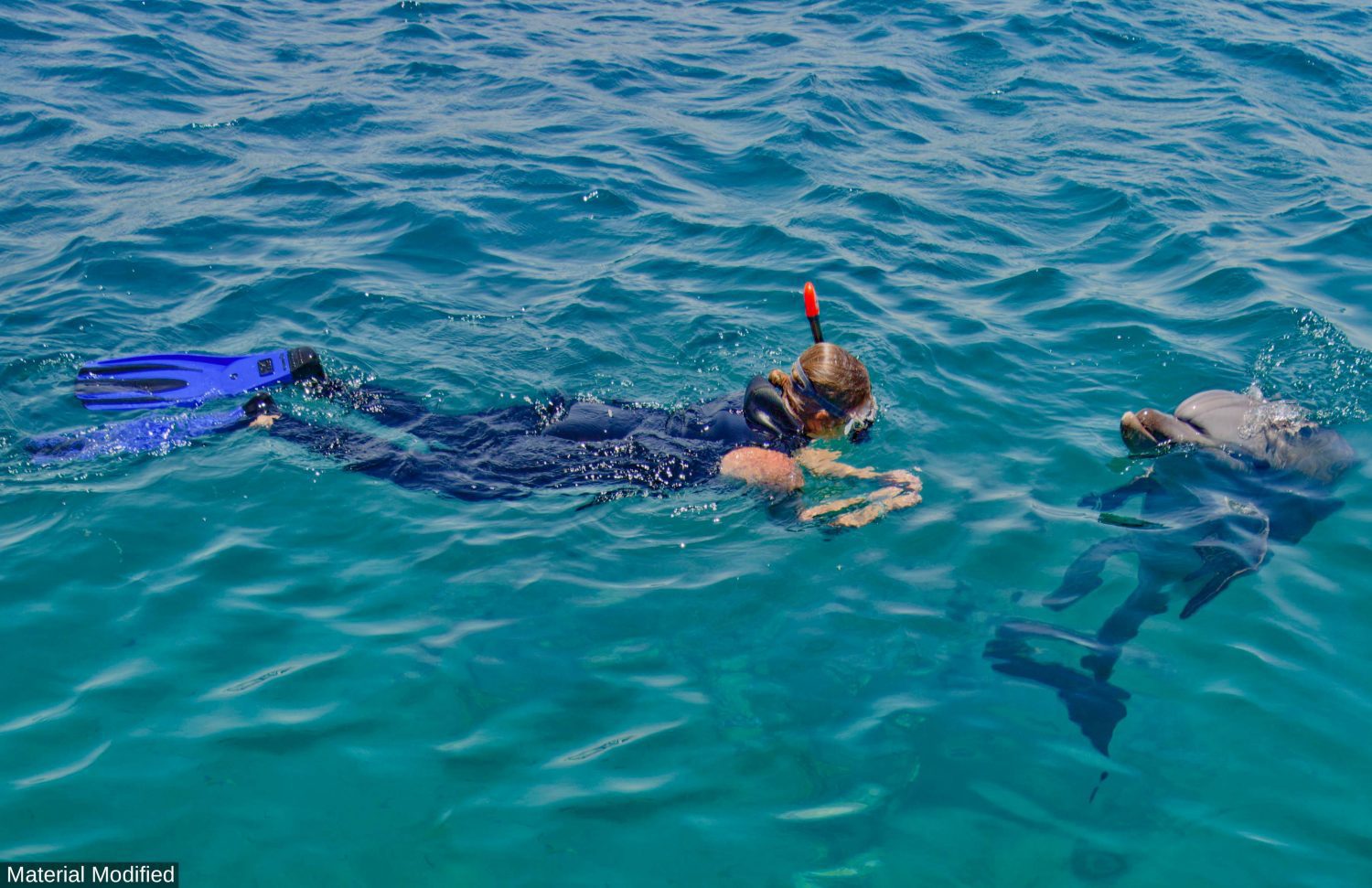 Mexico (Cabo & Baja): See & Experience it ALL in 6 Days, 1st Class Custom Tours