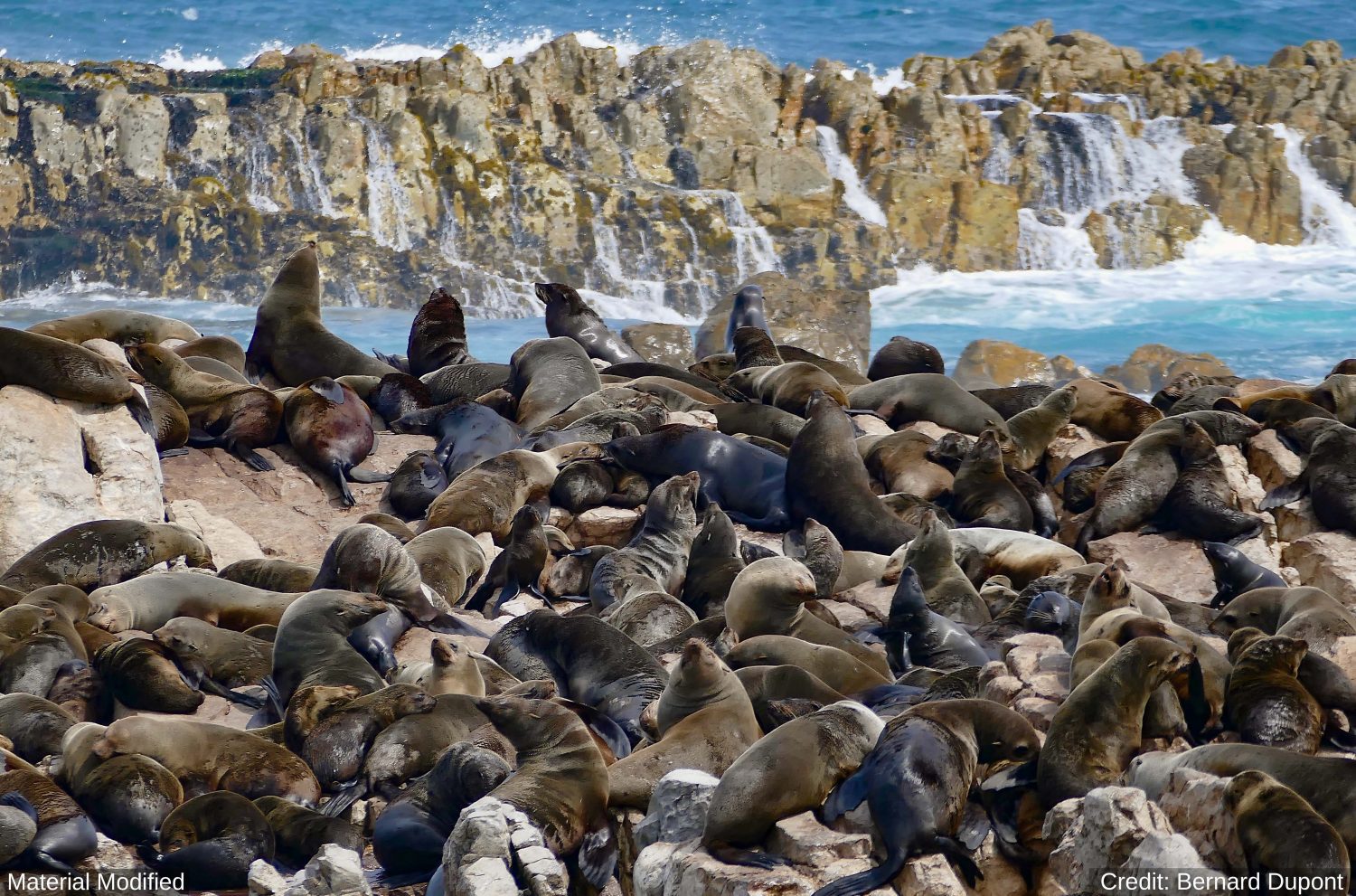 South Africa: See & Experience it ALL in 12 Days, 1st Class Custom Tours