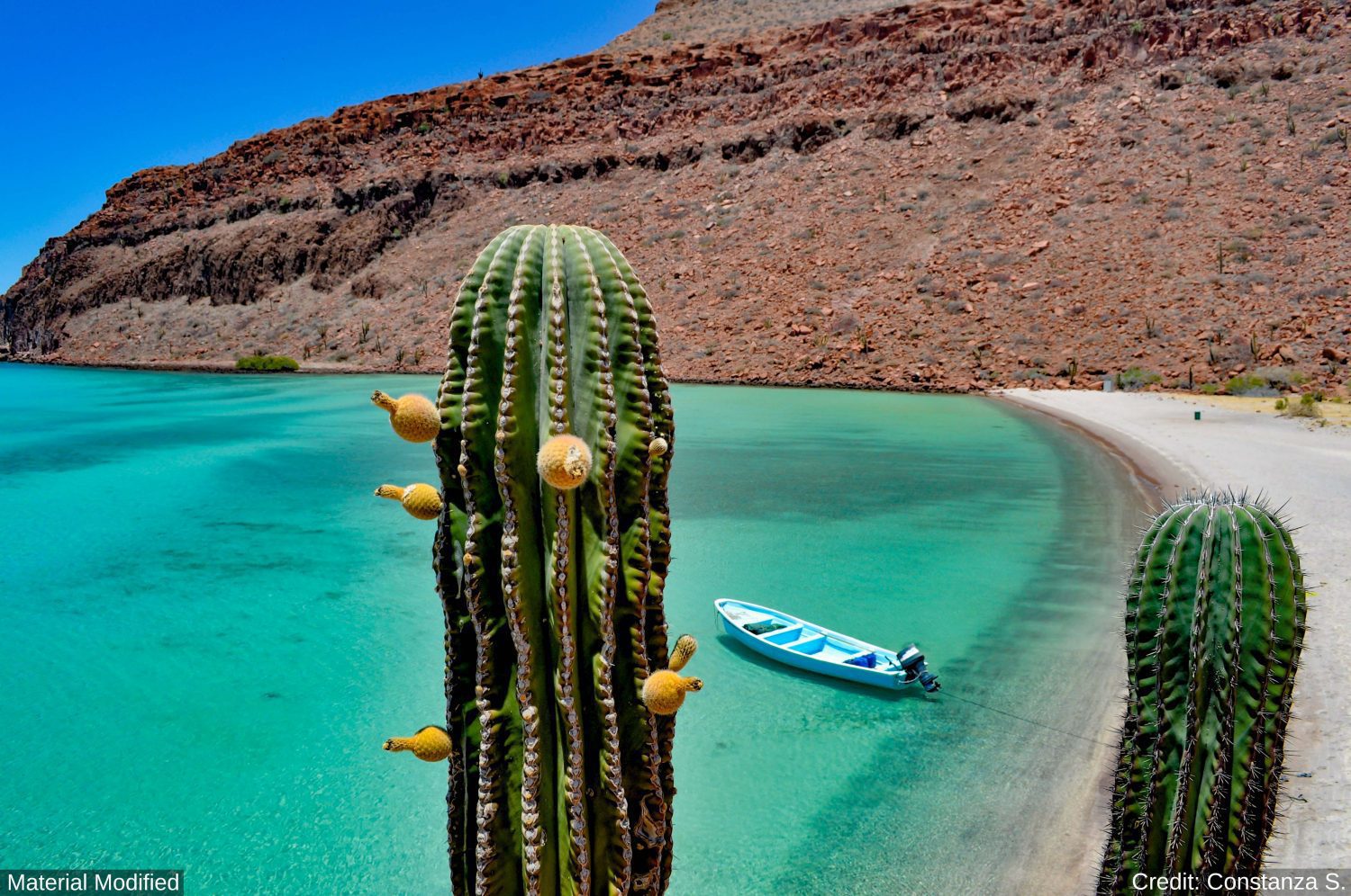 Mexico (Cabo & Baja): See & Experience it ALL in 6 Days, 1st Class Custom Tours