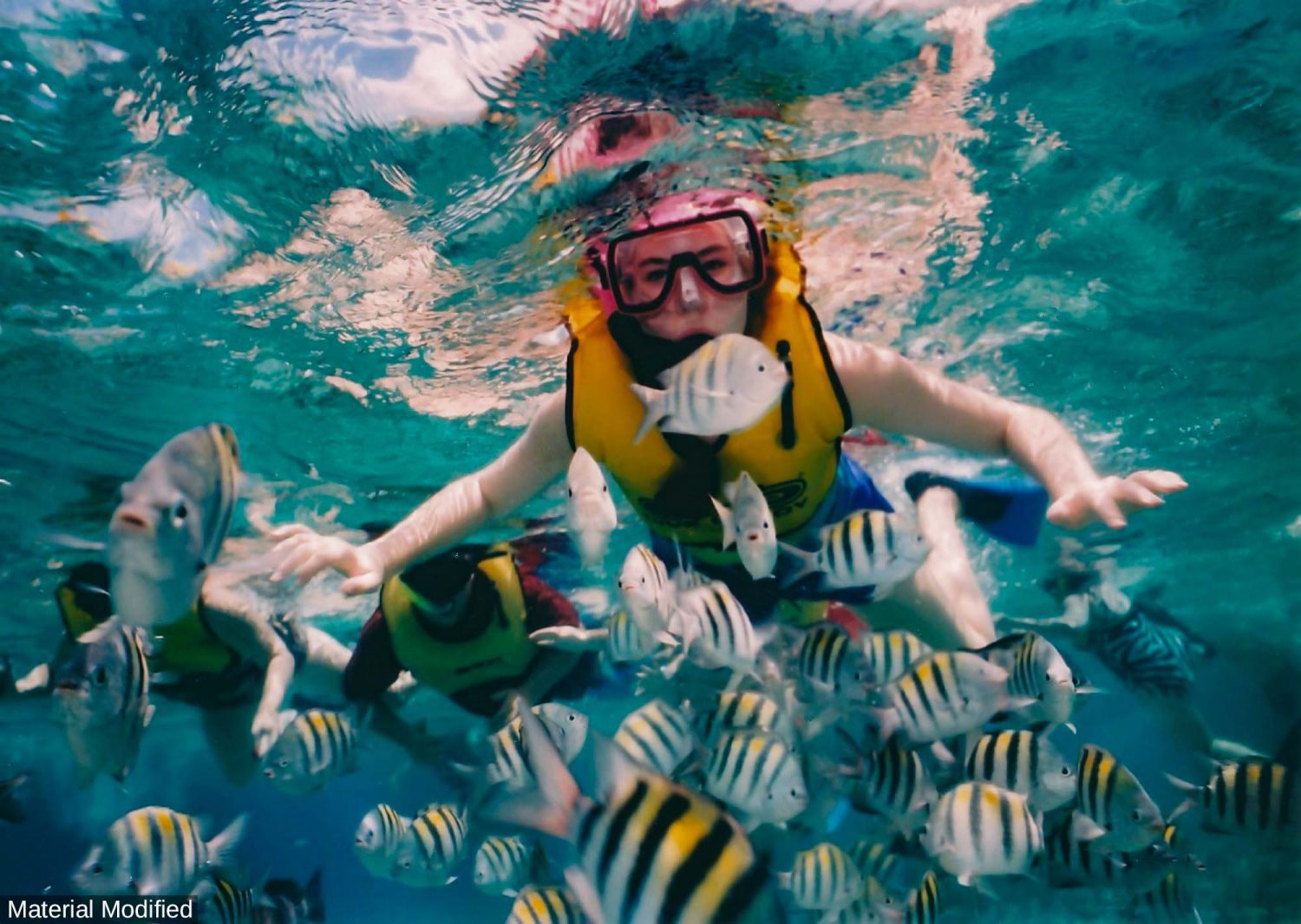 Mexico (Cancun & Yucatan): See & Experience it ALL in 7 Days, 1st Class Custom Tours