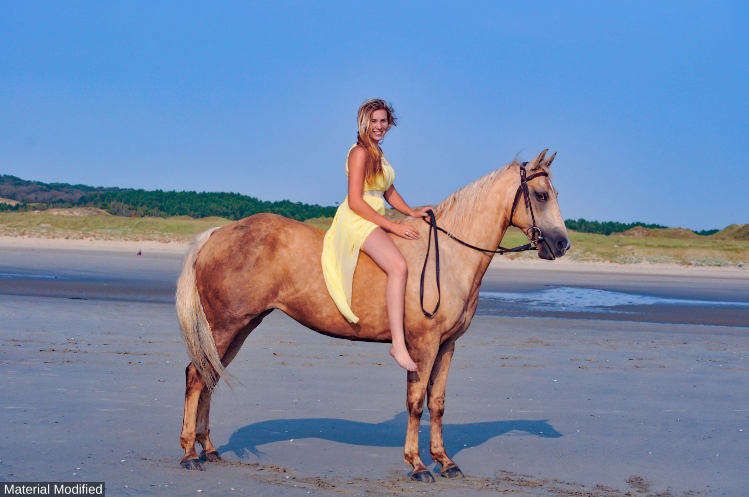 Mexico (Cabo & Baja): See & Experience it ALL in 6 Days, 1st Class Custom Tours