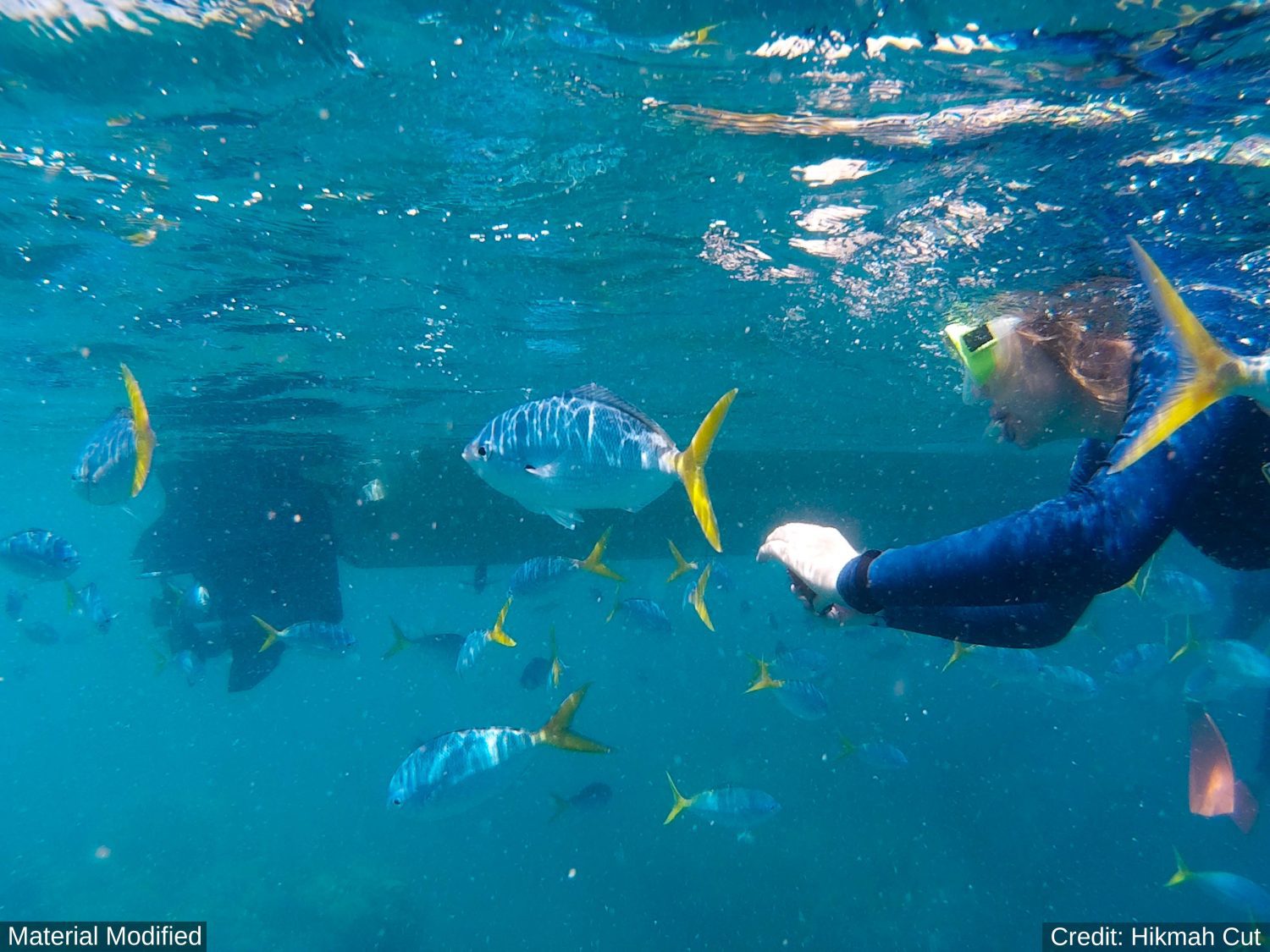 Sri Lanka: See & Experience it ALL in 10 Days, 1st Class Custom Tours