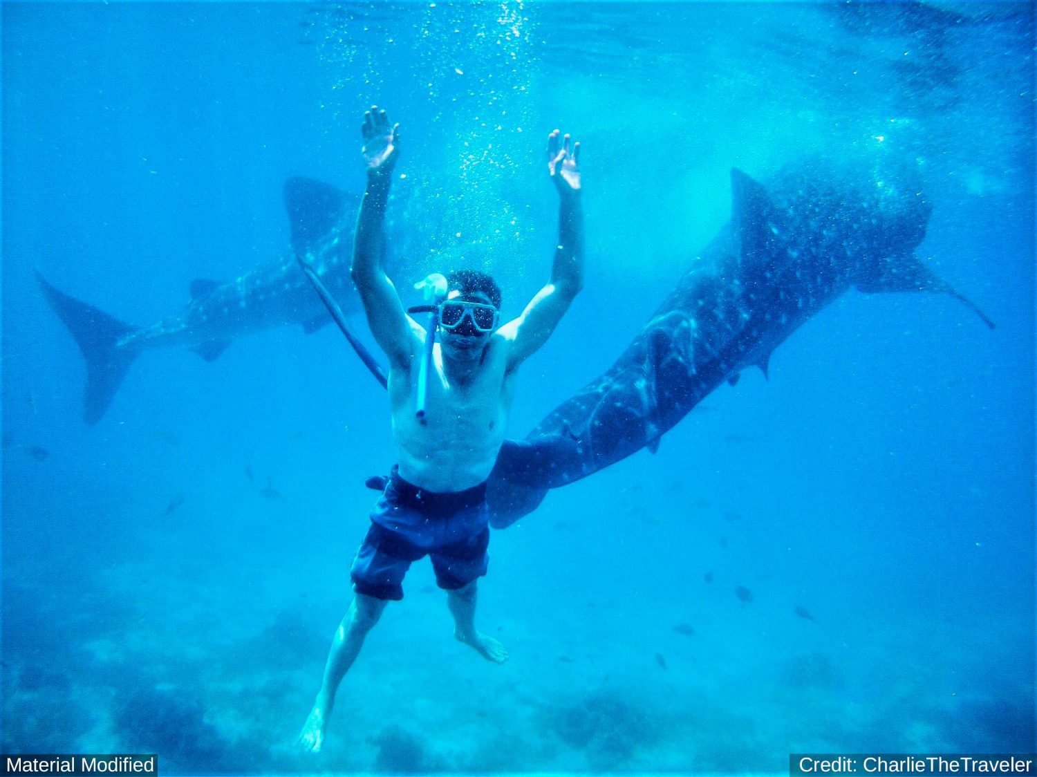 Philippines Grand Tour: See & Experience it ALL in 14 Days, 1st Class Custom Tours