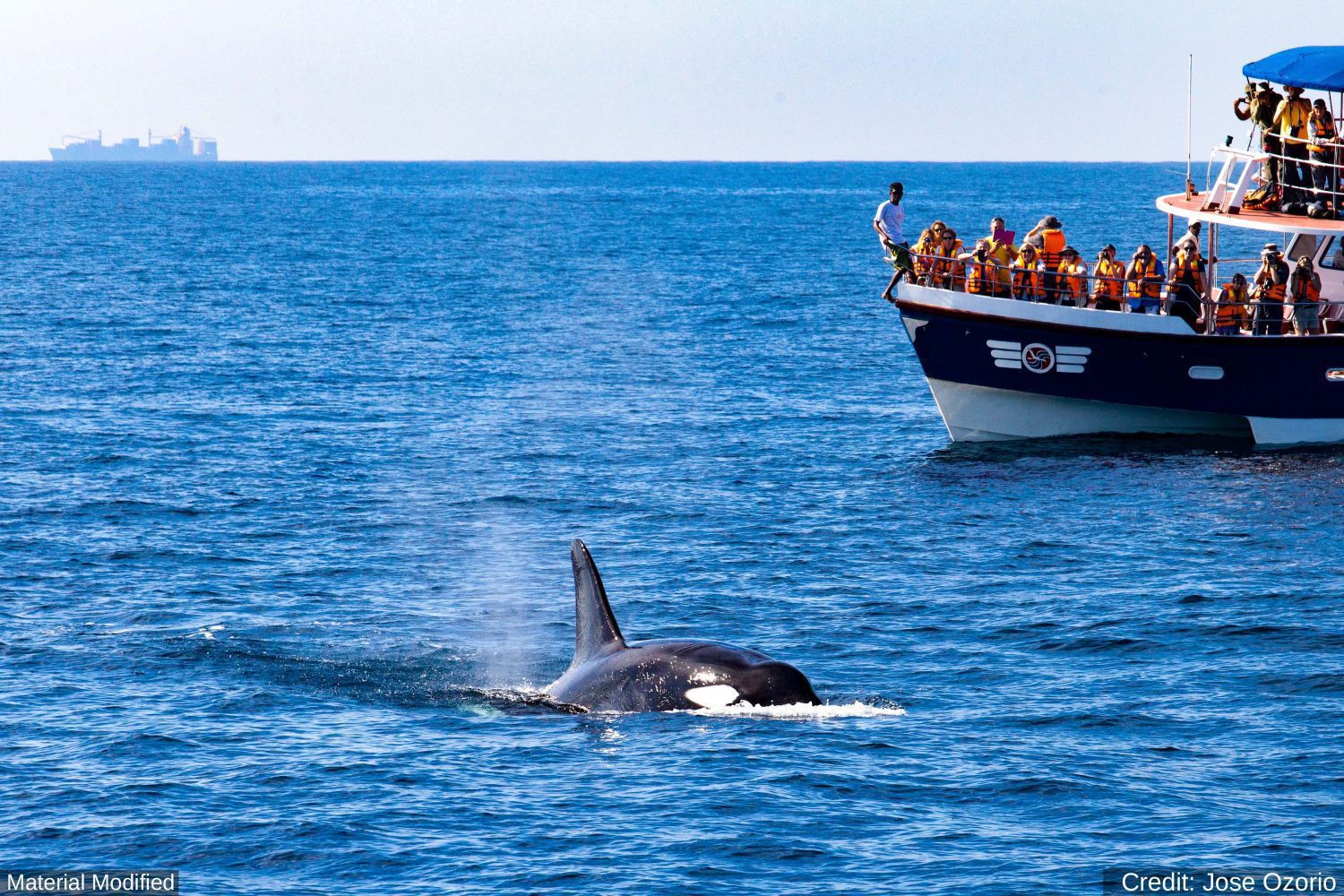 South Africa: See & Experience it ALL in 12 Days, 1st Class Custom Tours