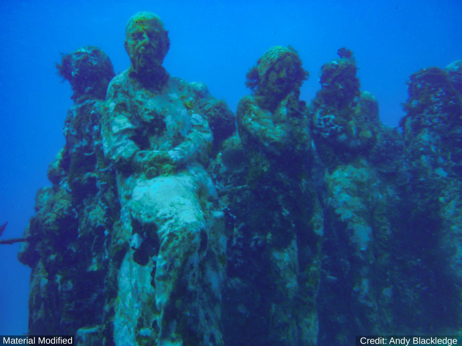 Mexico (Cancun & Yucatan): See & Experience it ALL in 7 Days, 1st Class Custom Tours