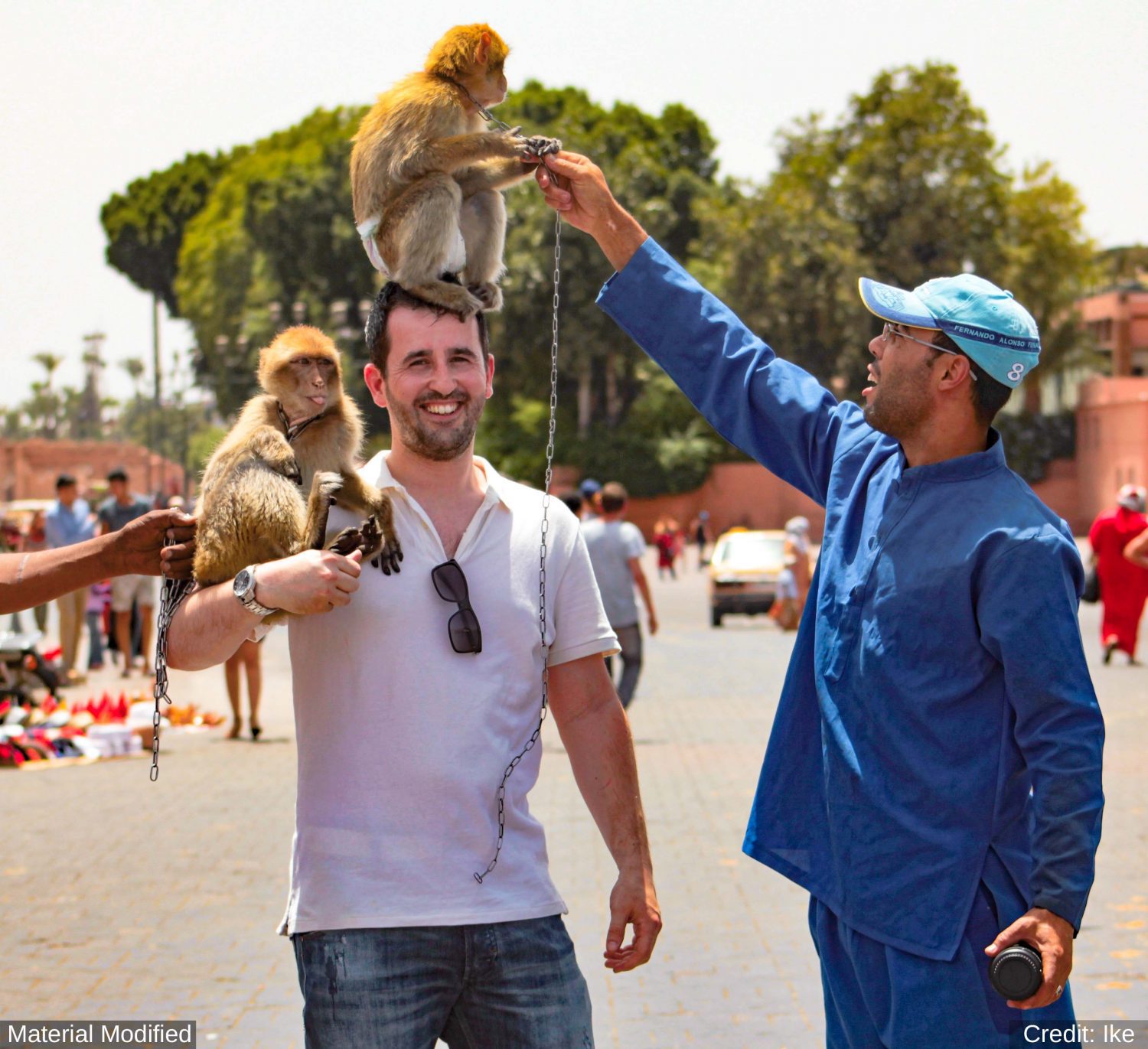 Morocco: See & Experience it ALL in 11 Days, 1st Class Custom Tours