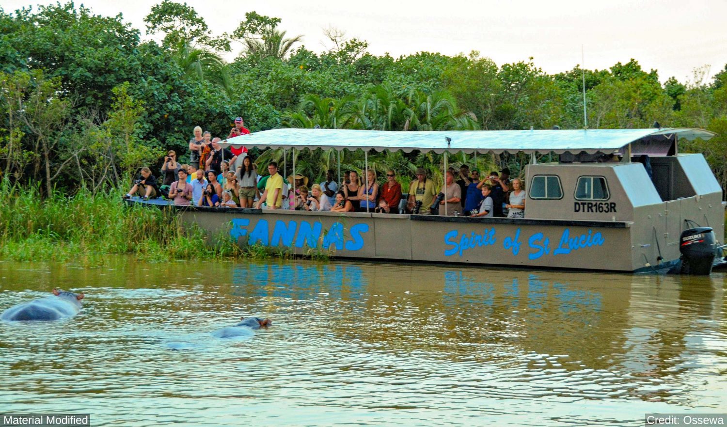 South Africa: See & Experience it ALL in 12 Days, 1st Class Custom Tours