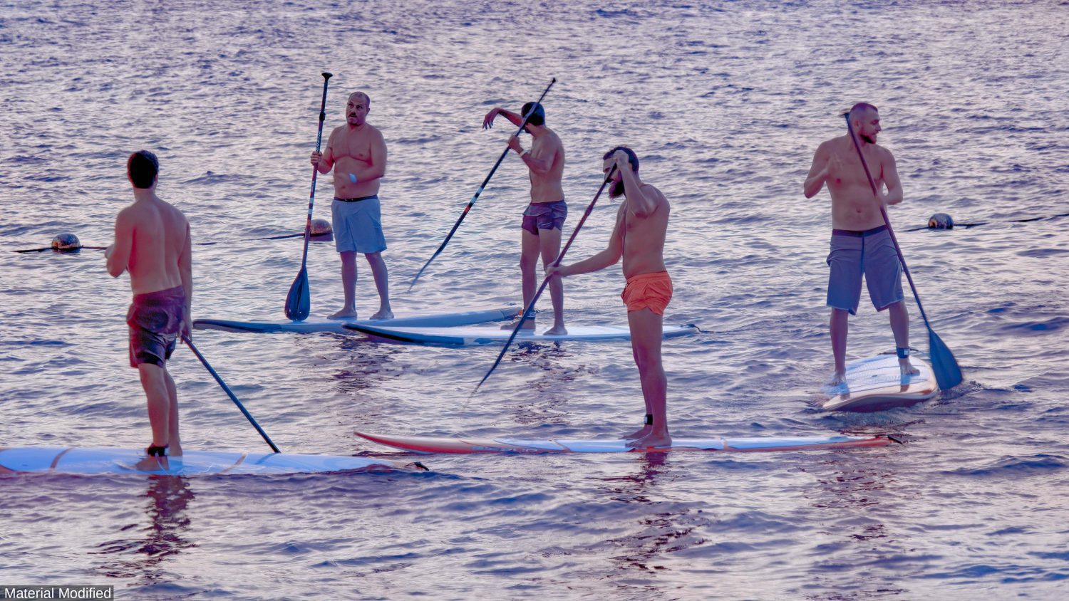 Mexico (Cabo & Baja): See & Experience it ALL in 6 Days, 1st Class Custom Tours