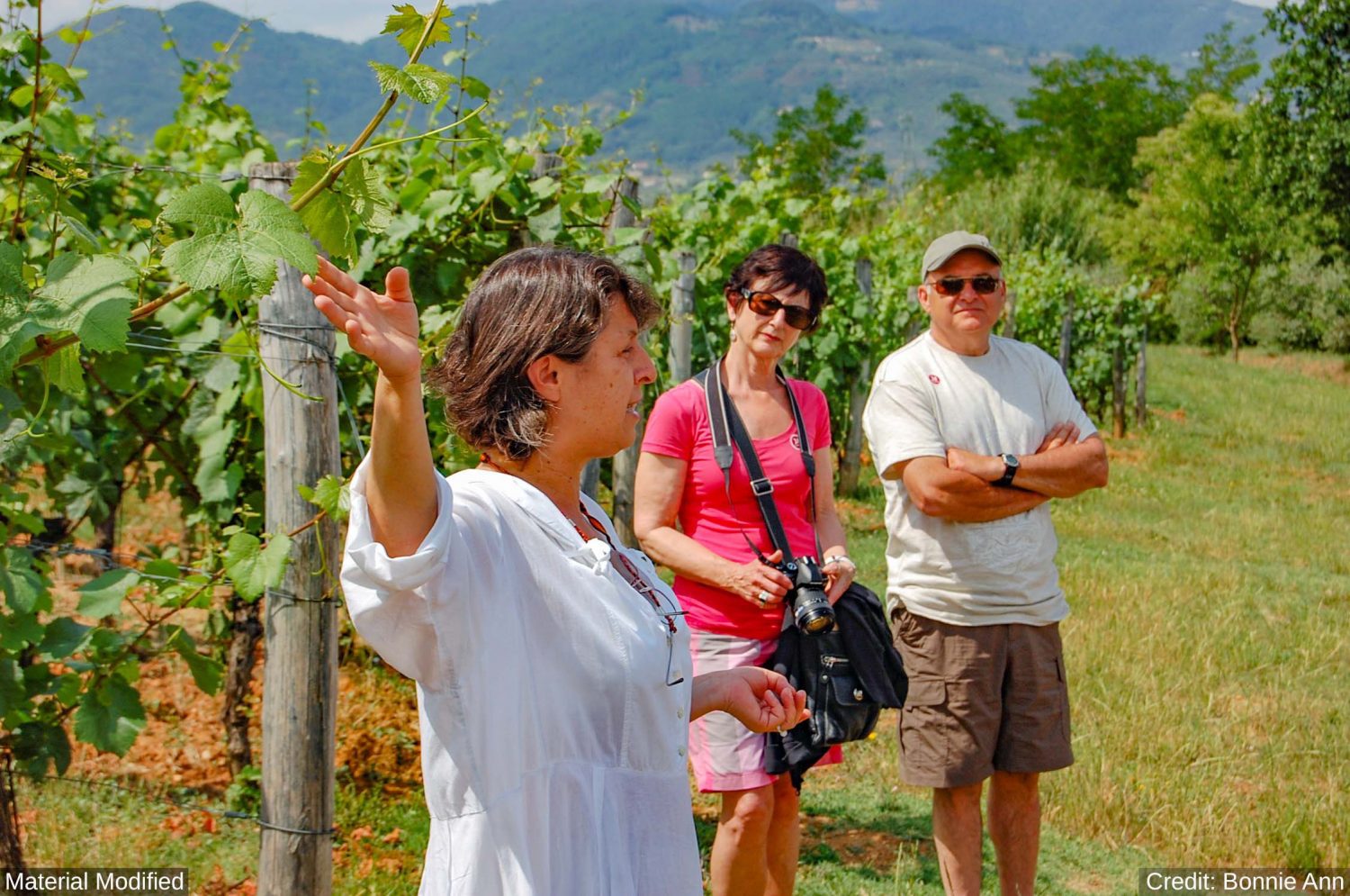 South Africa: See & Experience it ALL in 12 Days, 1st Class Custom Tours