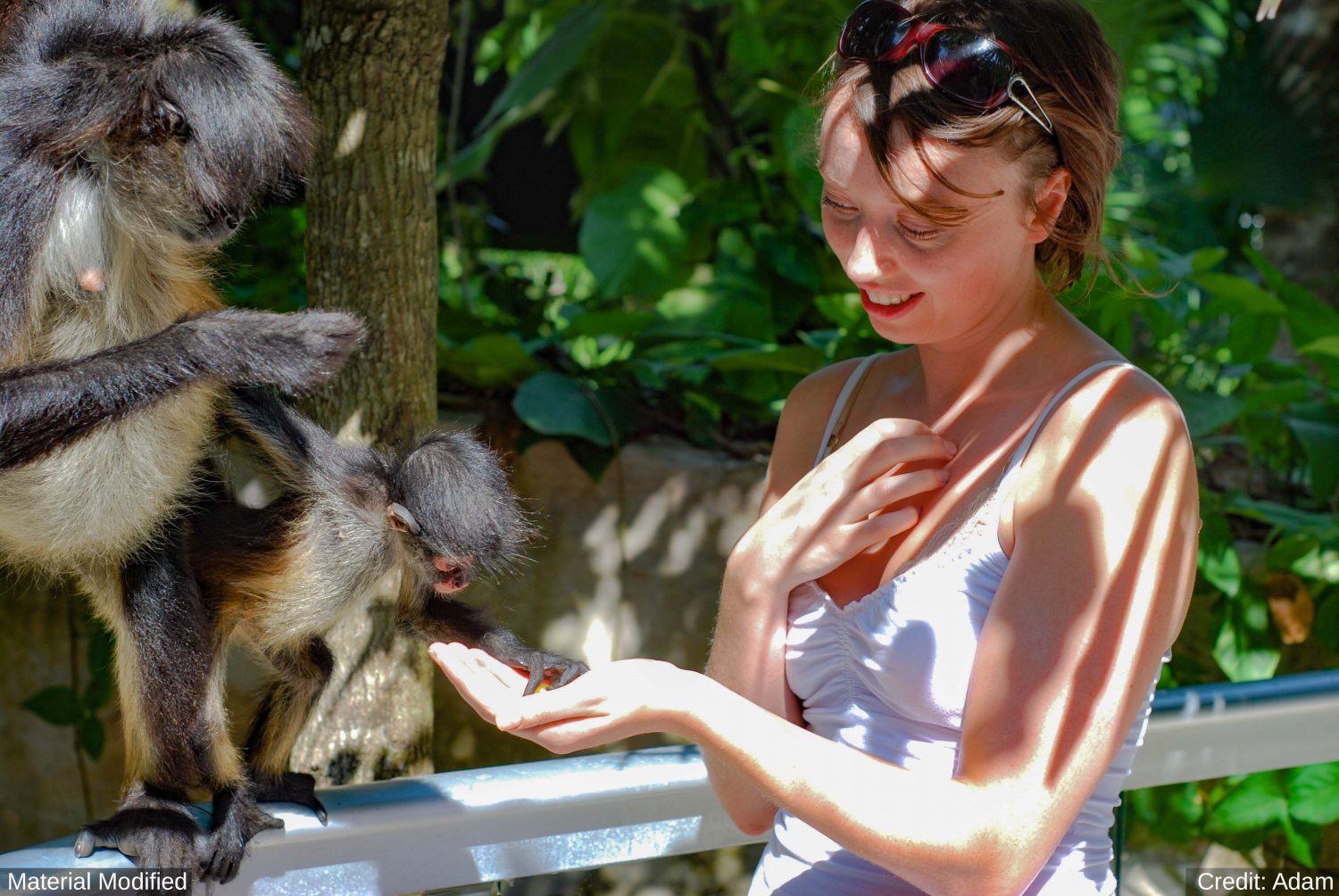 Costa Rica: See & Experience it ALL in 11 Days, 1st Class Custom Tours