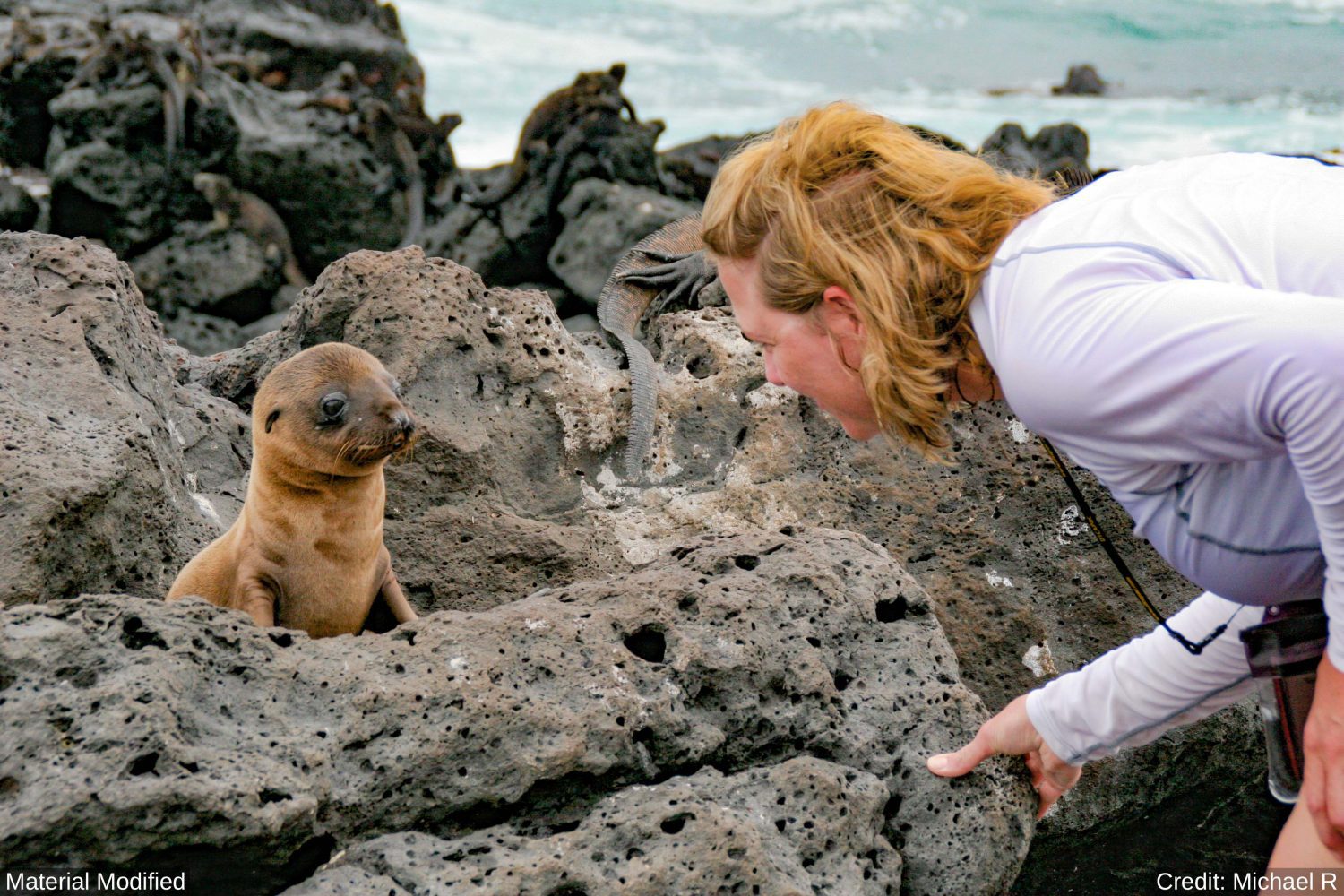 Ecuador & Galapagos Islands: See & Experience Almost it ALL in 12 Days, 1st Class Custom Tours