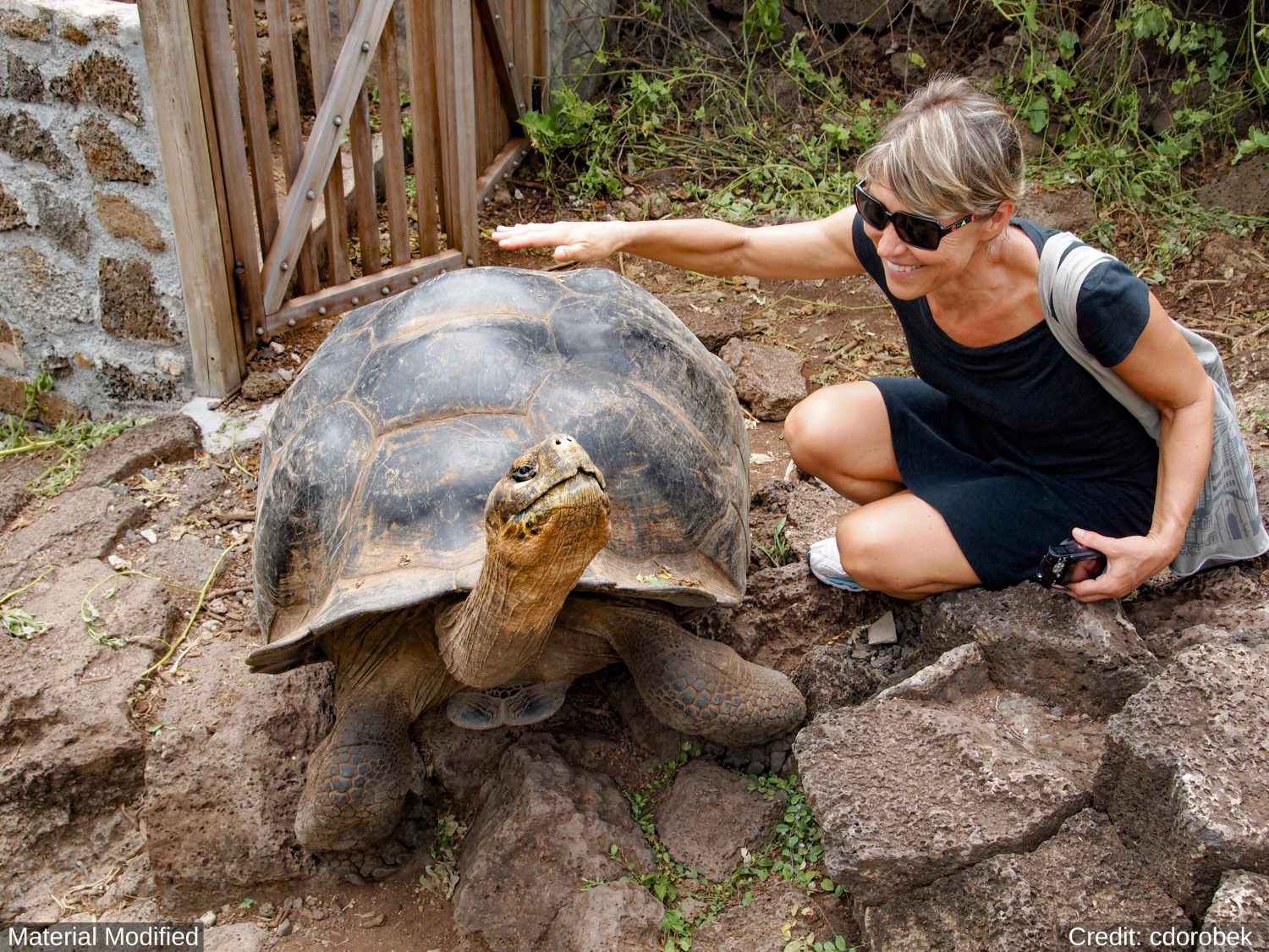 Ecuador & Galapagos Islands: See & Experience Almost it ALL in 12 Days, 1st Class Custom Tours