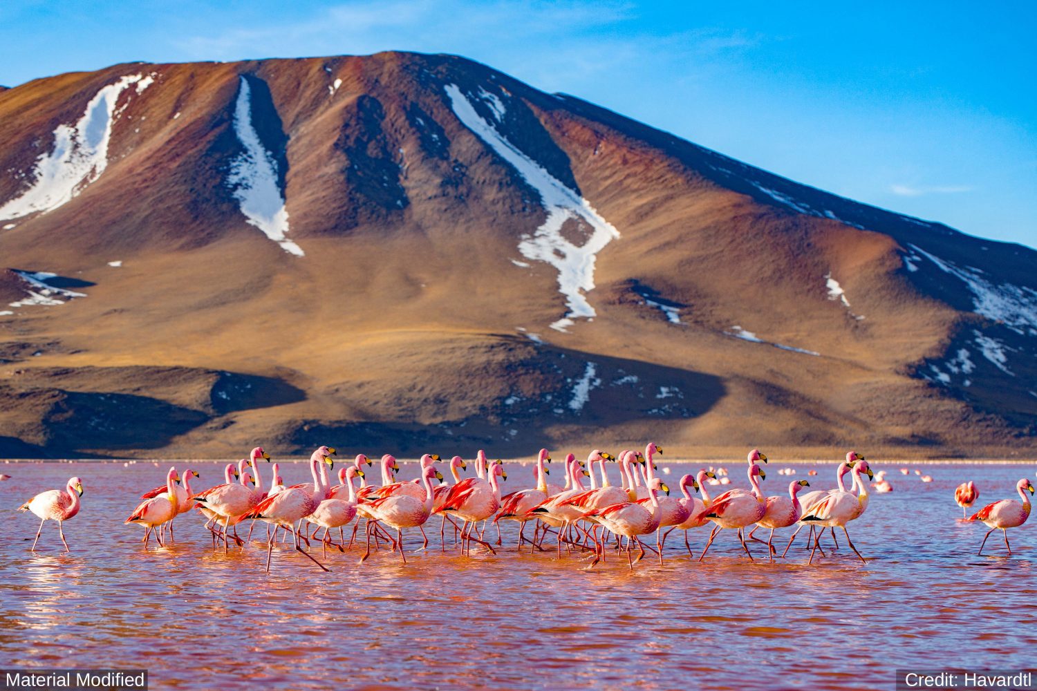 Bolivia: See & Experience Almost it ALL in 10 Days, 1st Class Custom Tours