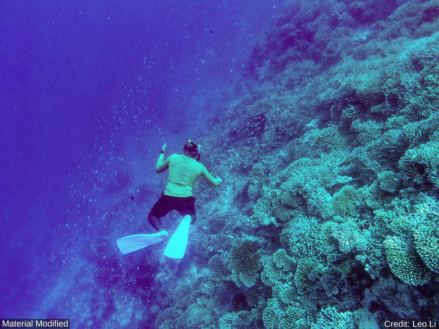 Egypt: See & Experience Almost it ALL in 11 Days, 1st Class Custom Tours