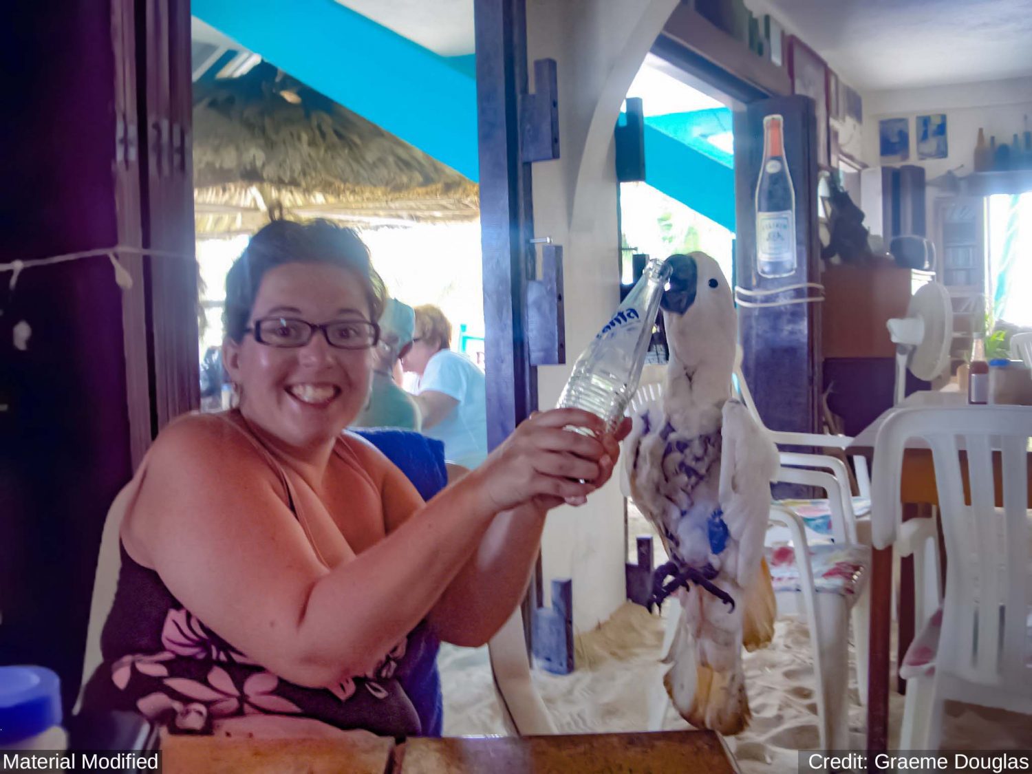 Belize: See & Experience it ALL in 10 Days, 1st Class Custom Tours